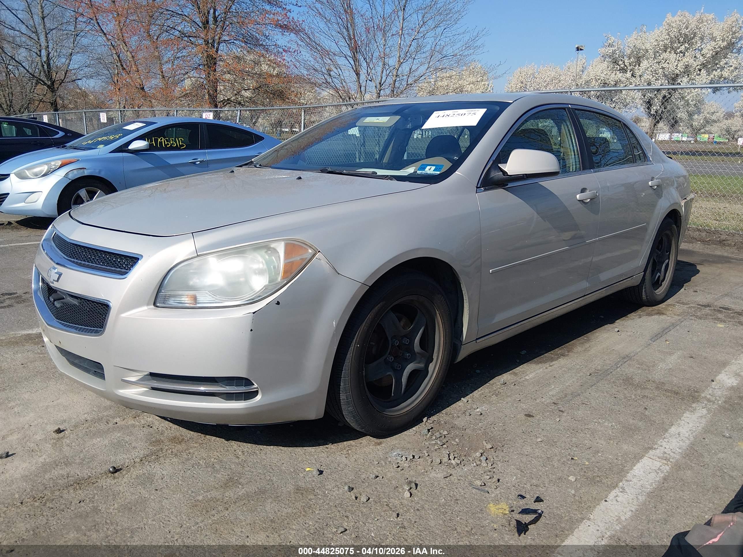 CHEVROLET MALIBU image 2