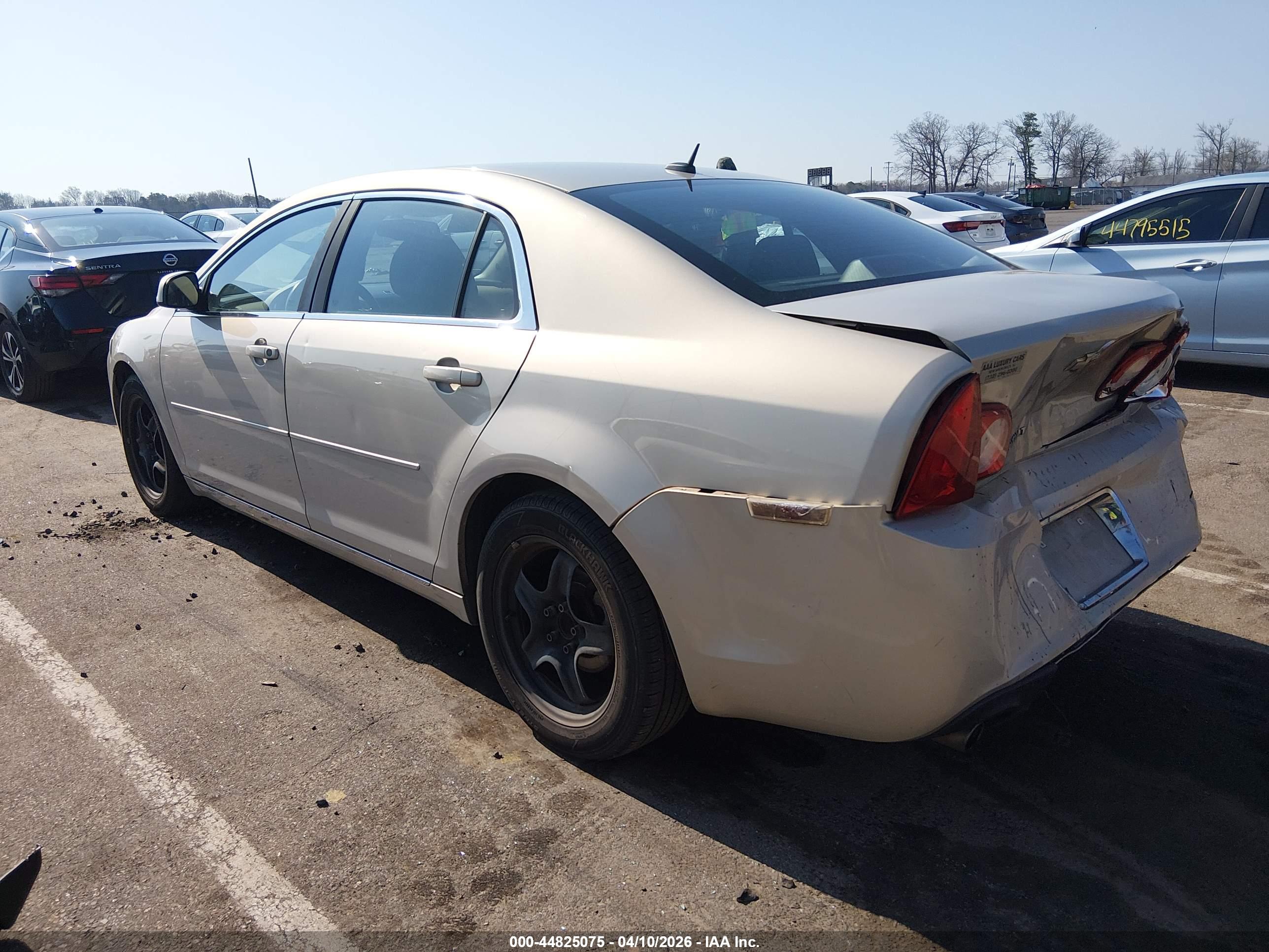 CHEVROLET MALIBU image 3