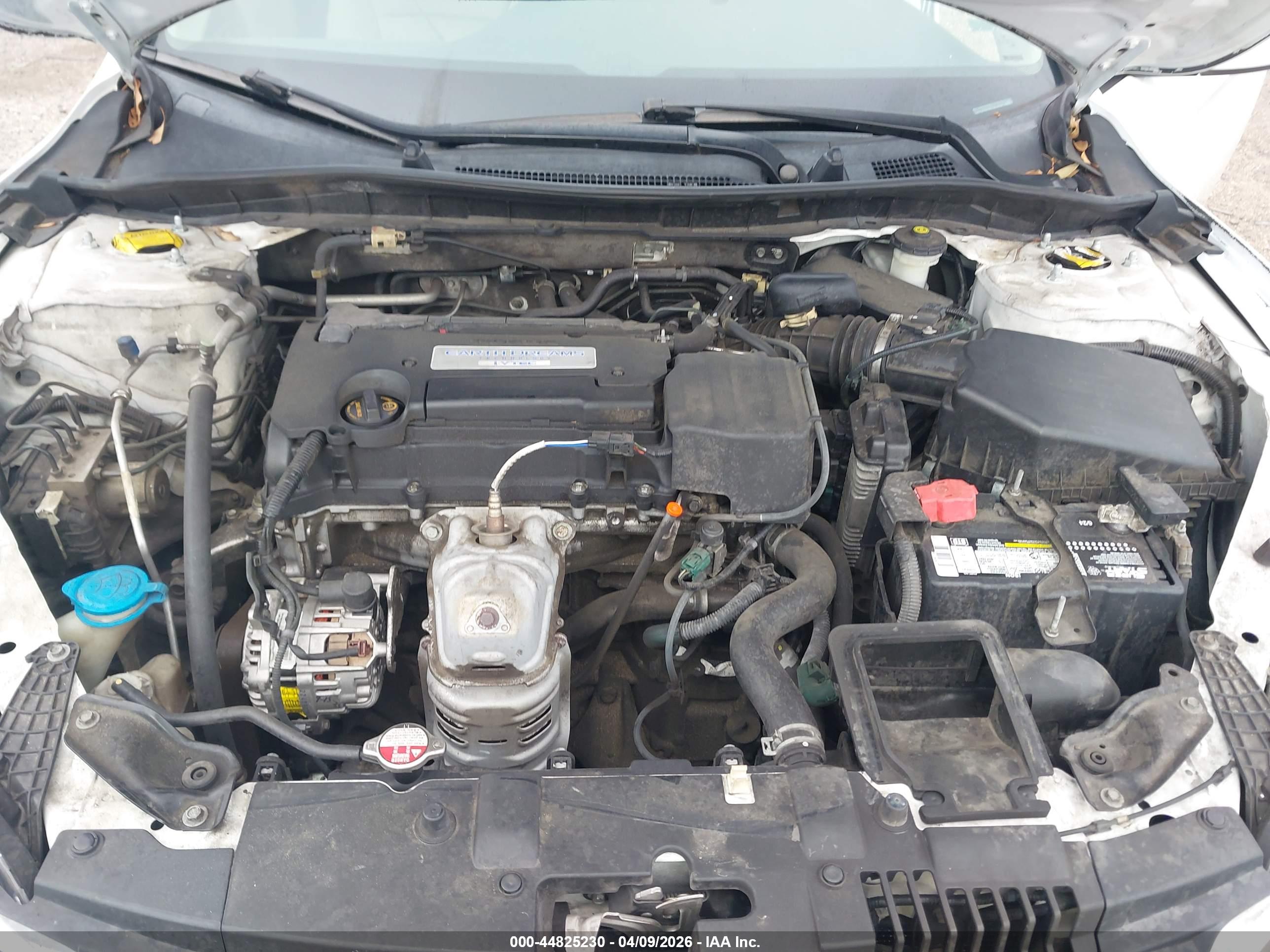 HONDA ACCORD image 10