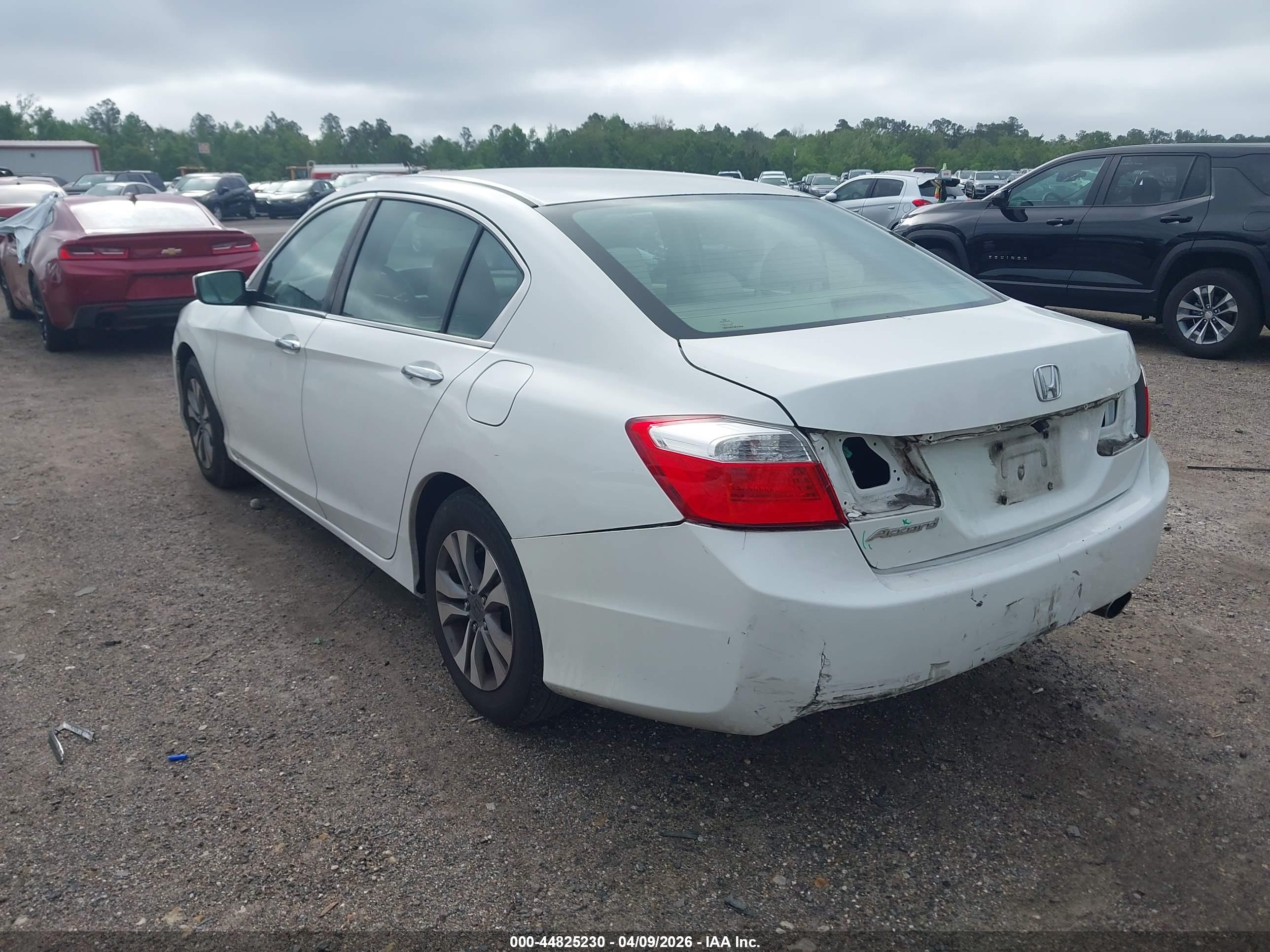 HONDA ACCORD image 3