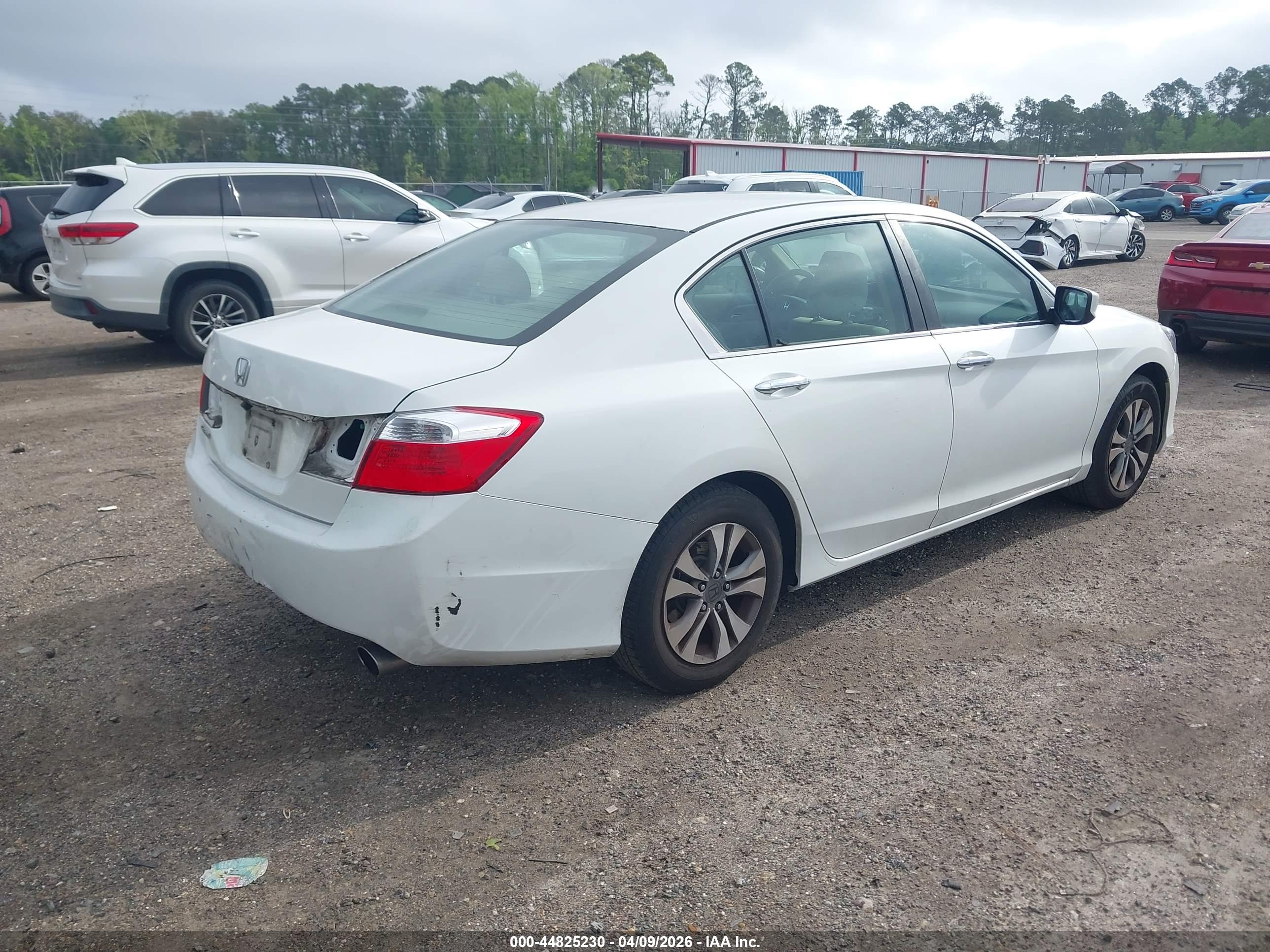 HONDA ACCORD image 4