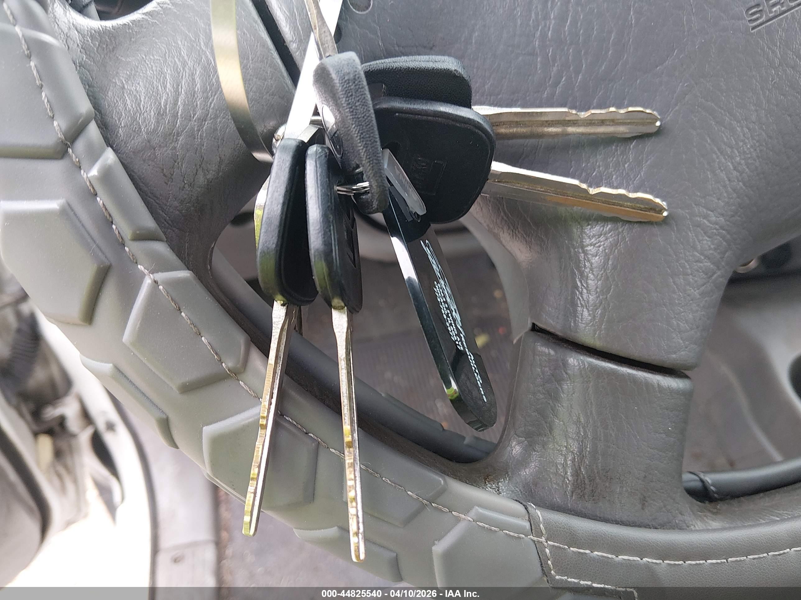 TOYOTA TACOMA image 11