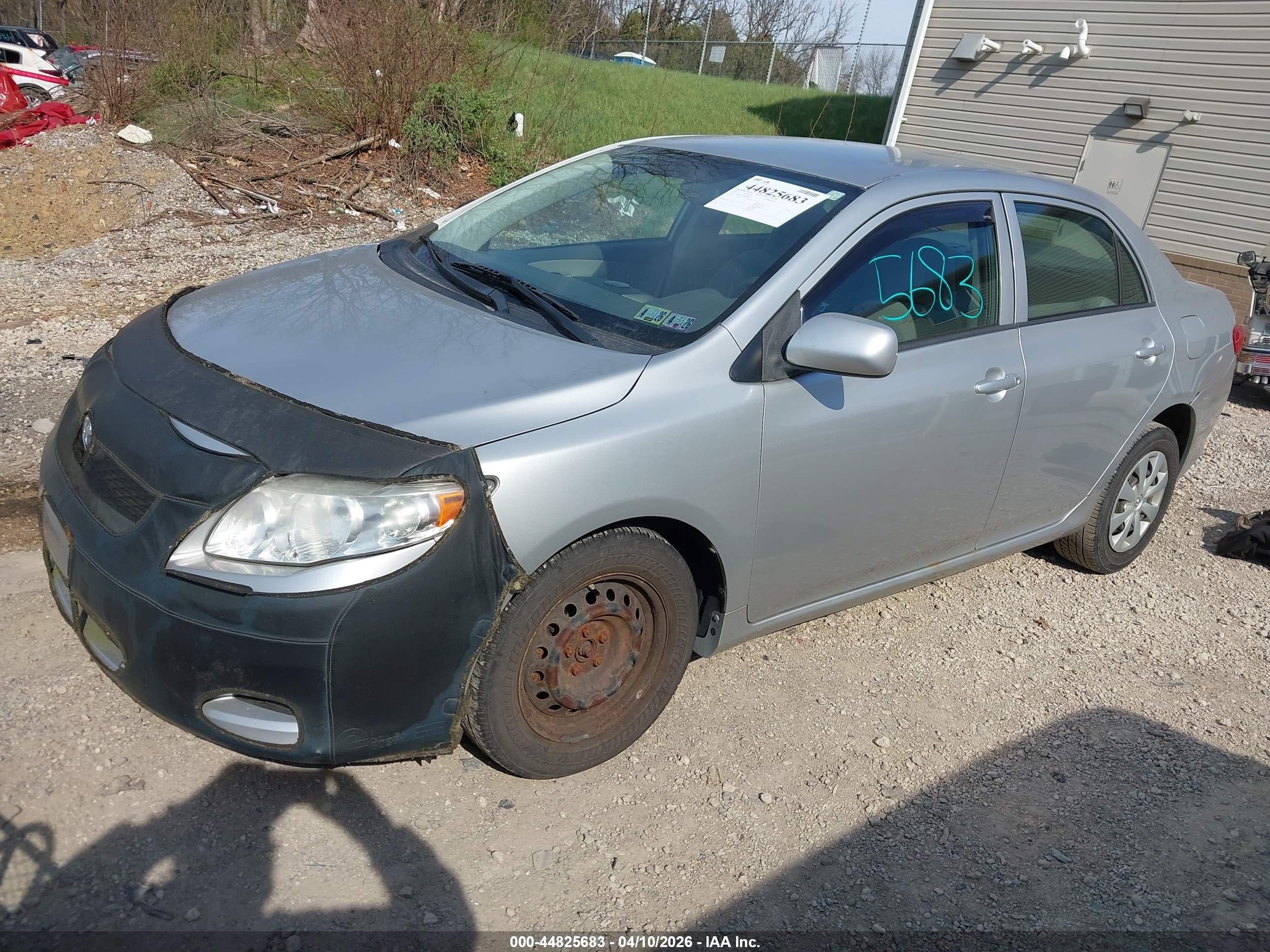 TOYOTA COROLLA image 2