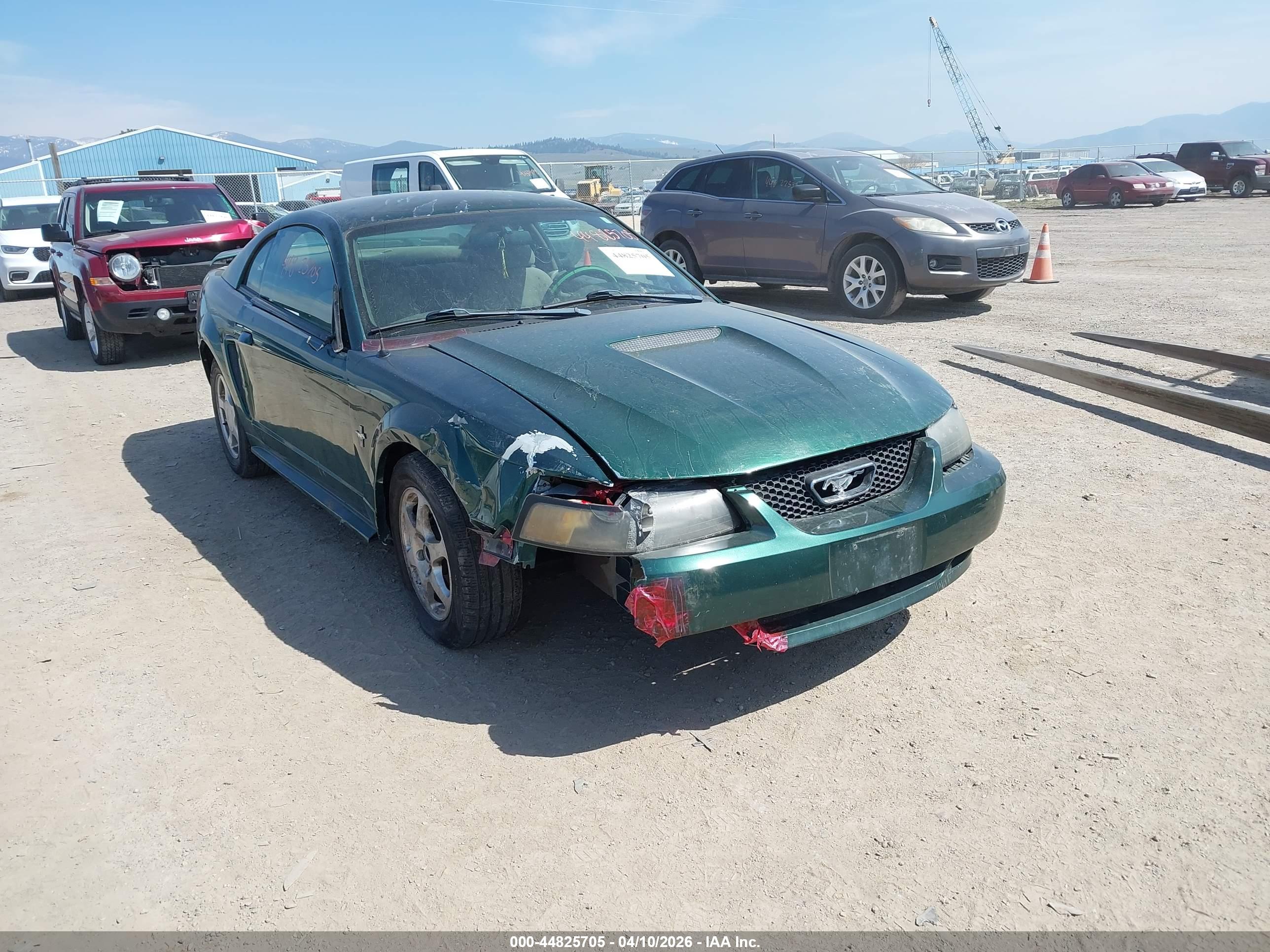 FORD MUSTANG image 6