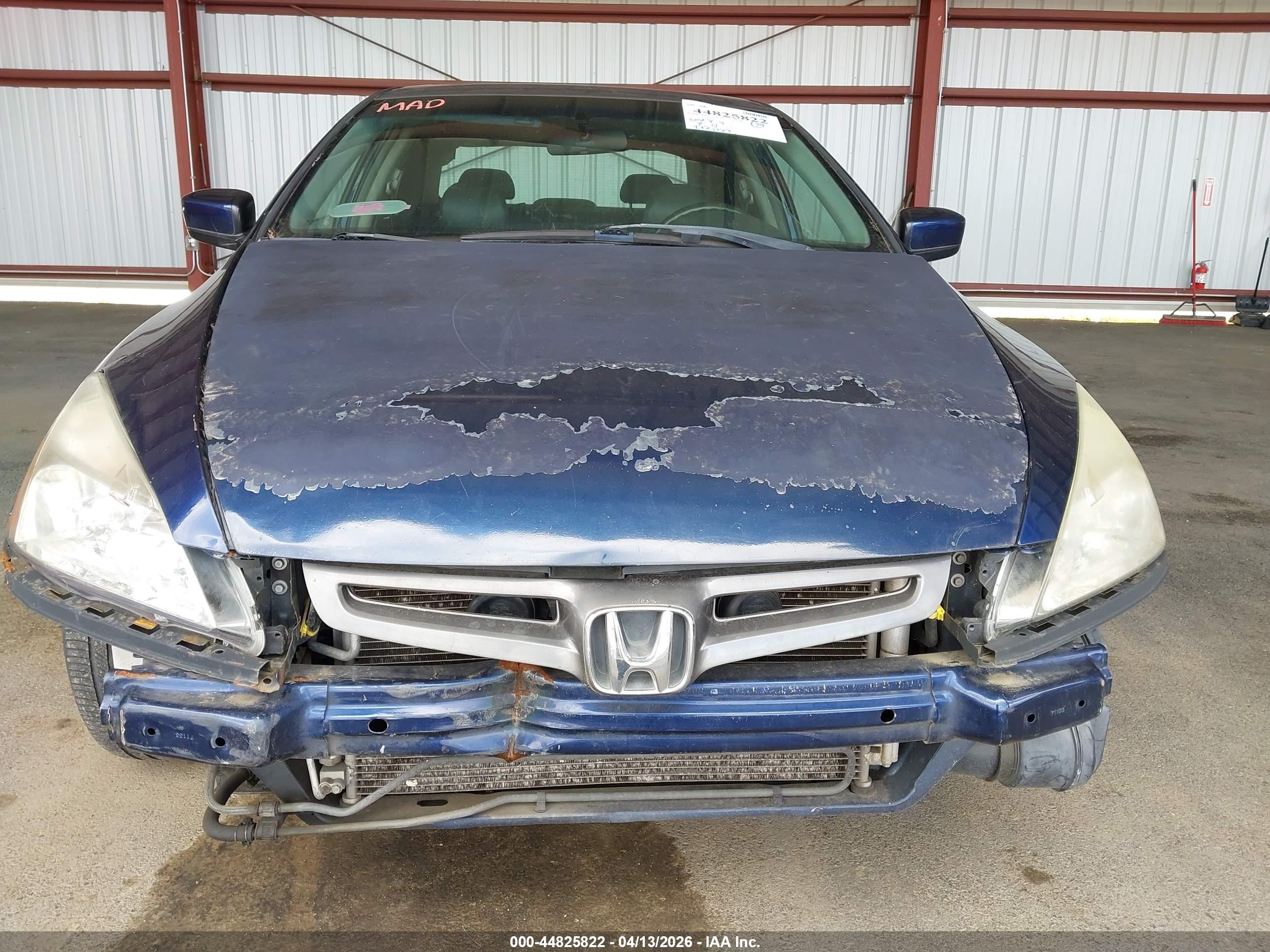 HONDA ACCORD image 6