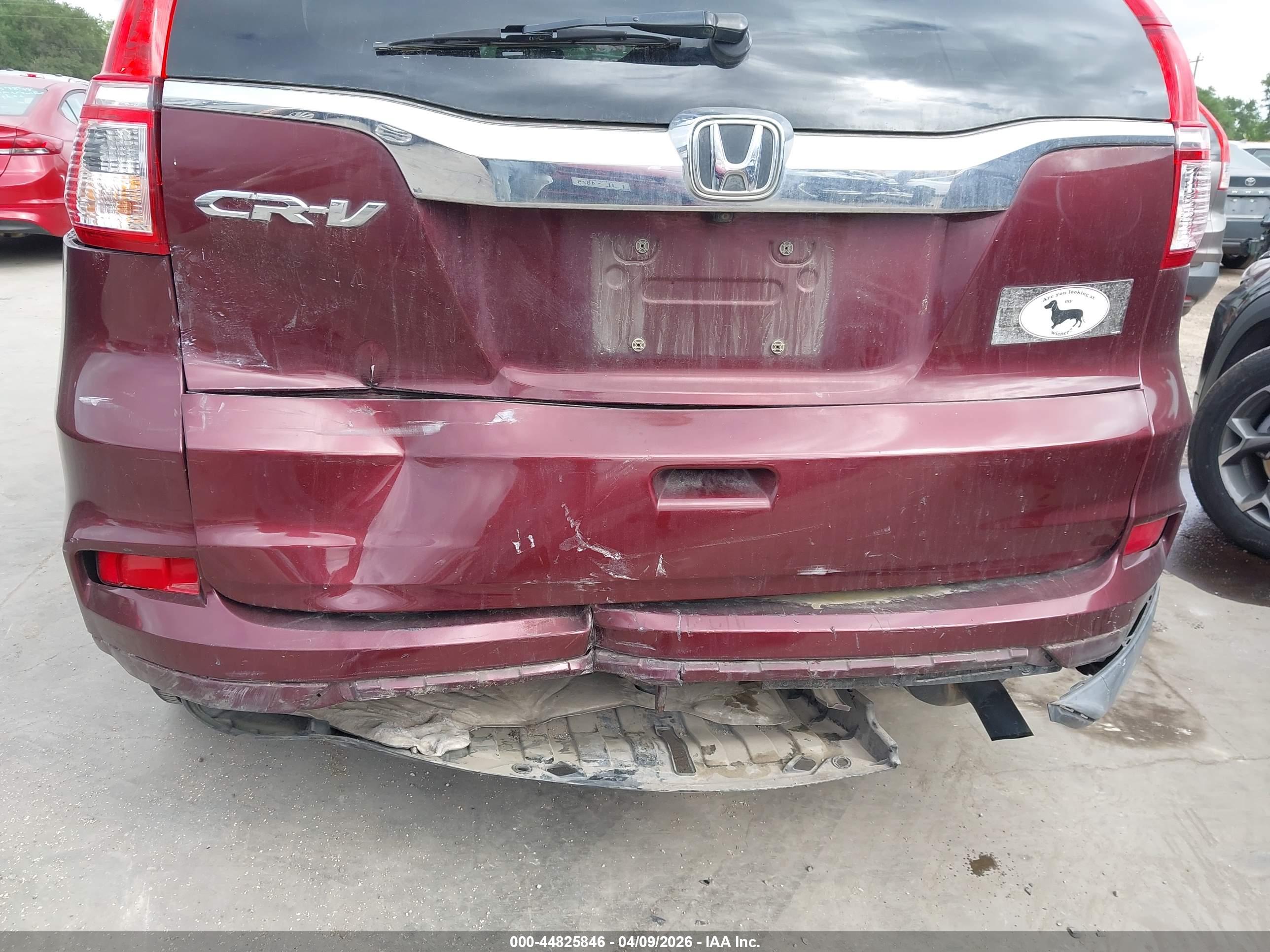 HONDA CR-V image 6