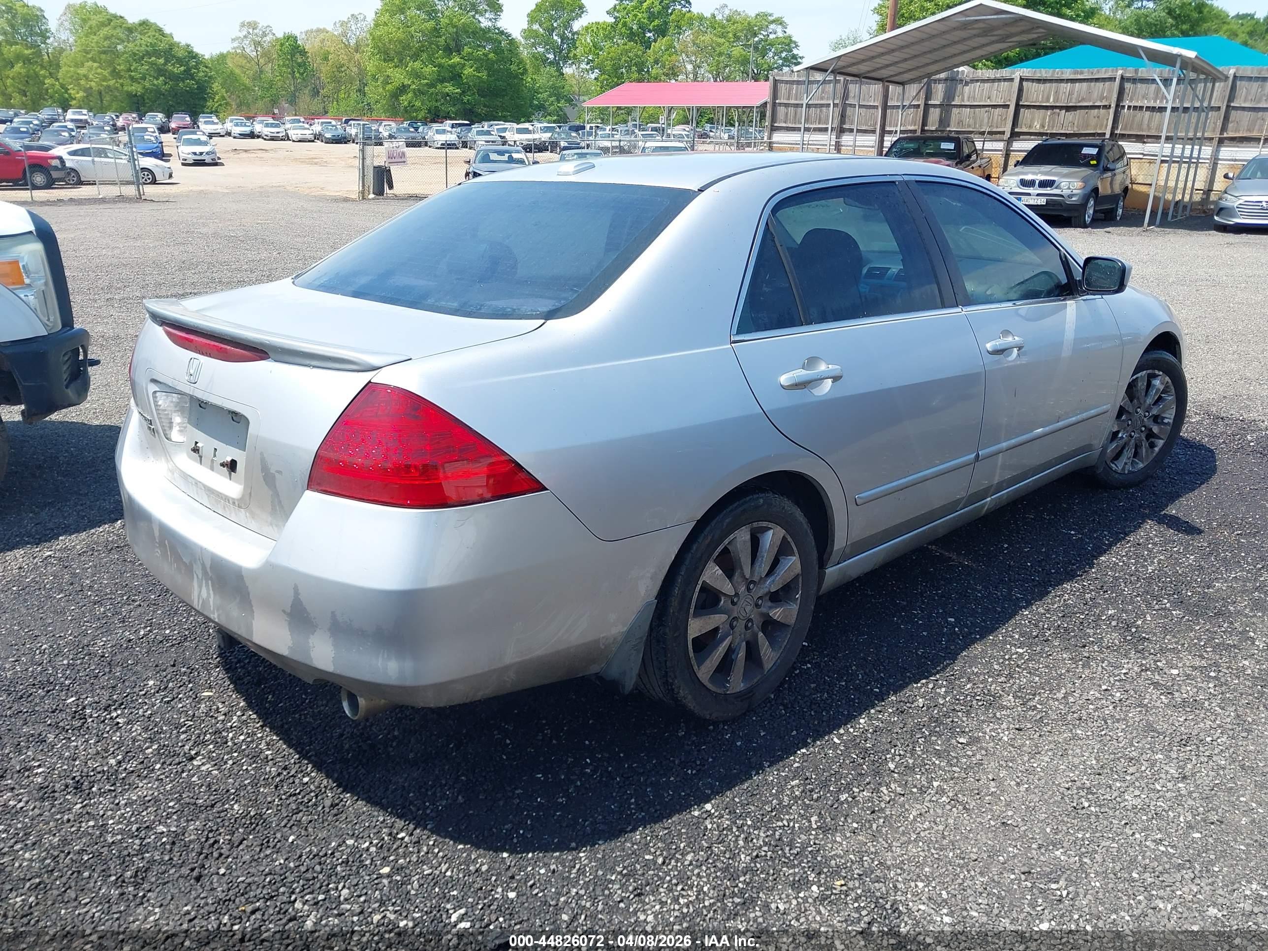 HONDA ACCORD image 4