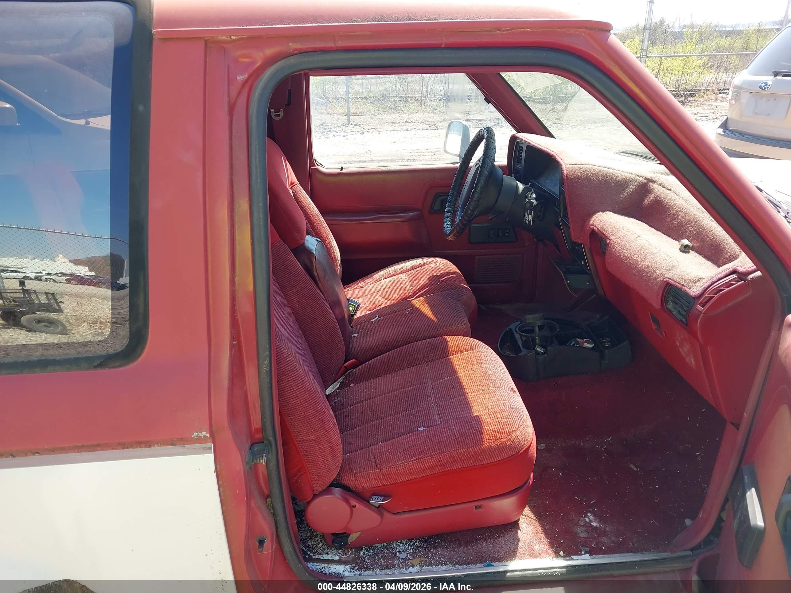 FORD BRONCO image 5
