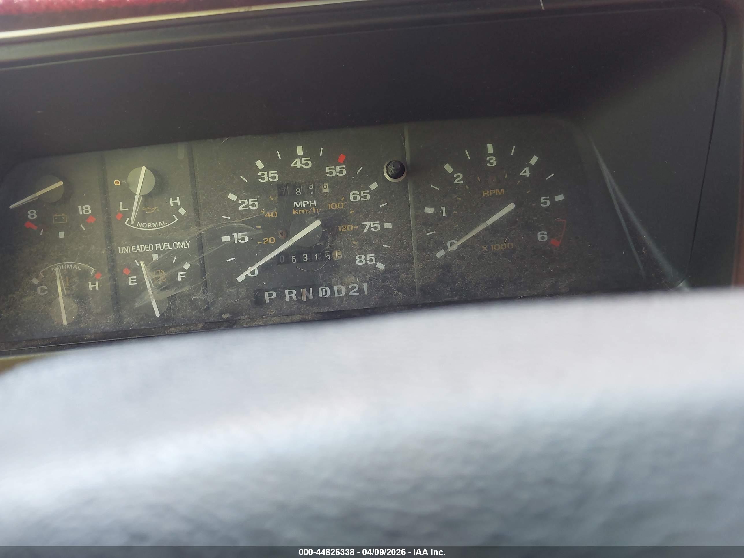 FORD BRONCO image 7