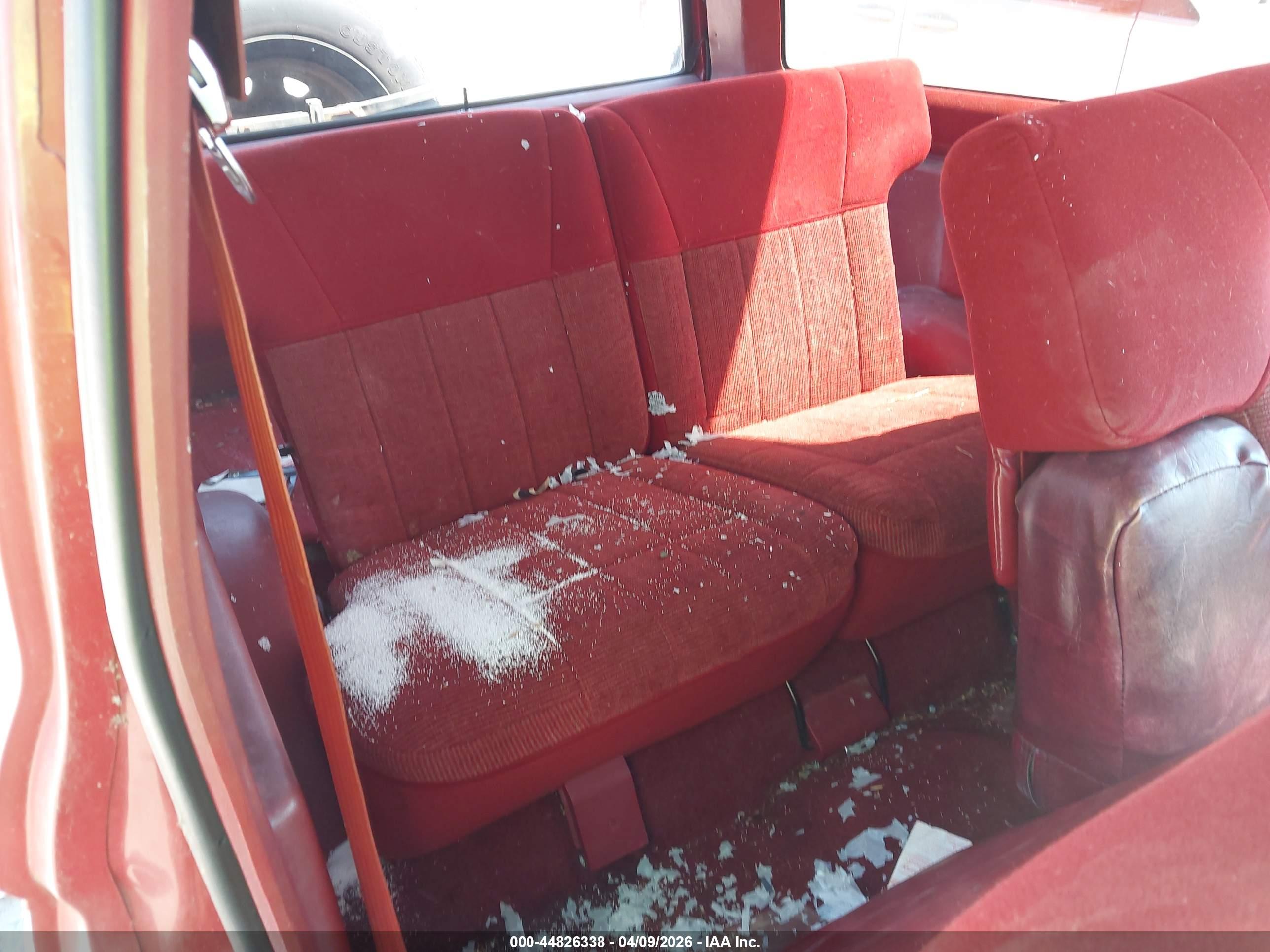 FORD BRONCO image 8