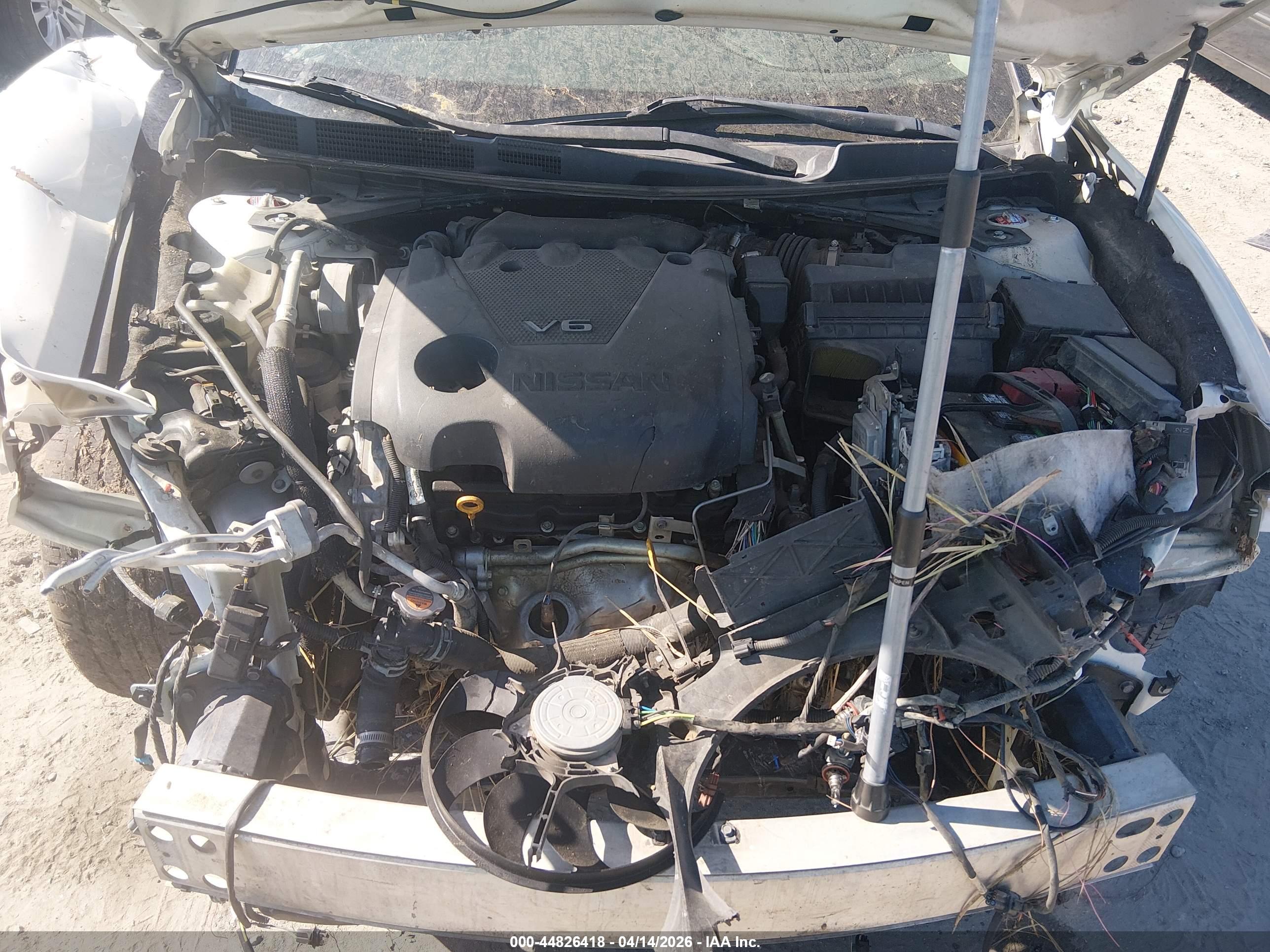 NISSAN MAXIMA image 10