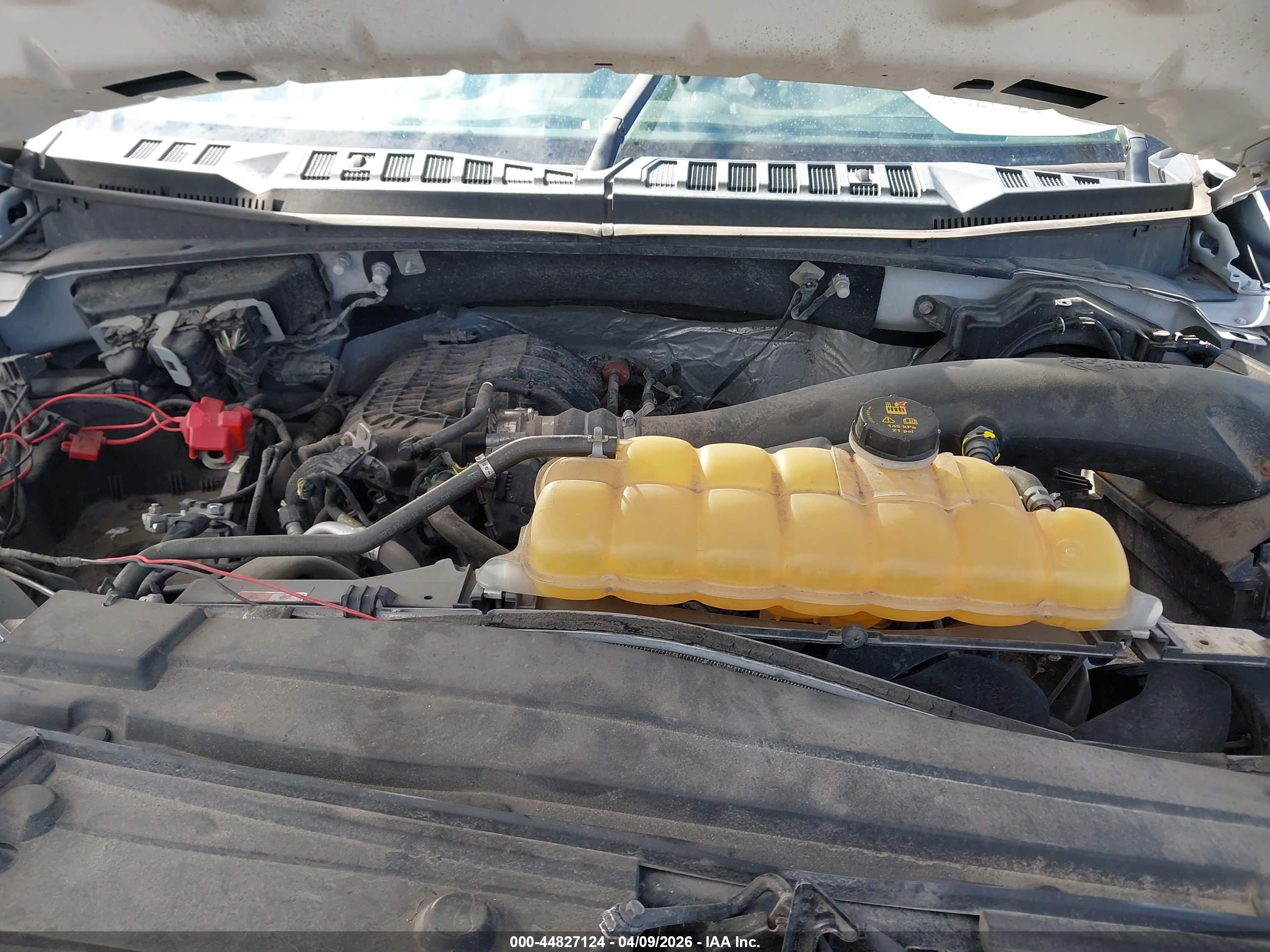 FORD F-150 image 10