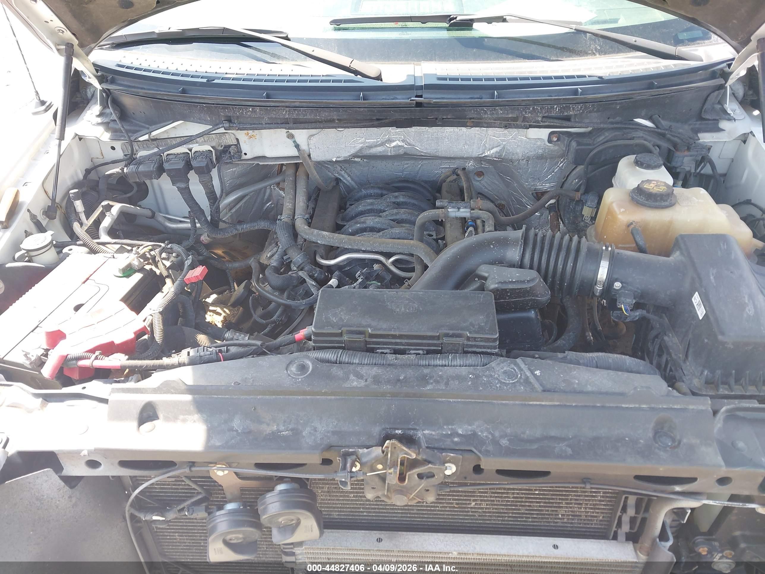 FORD F-150 image 10