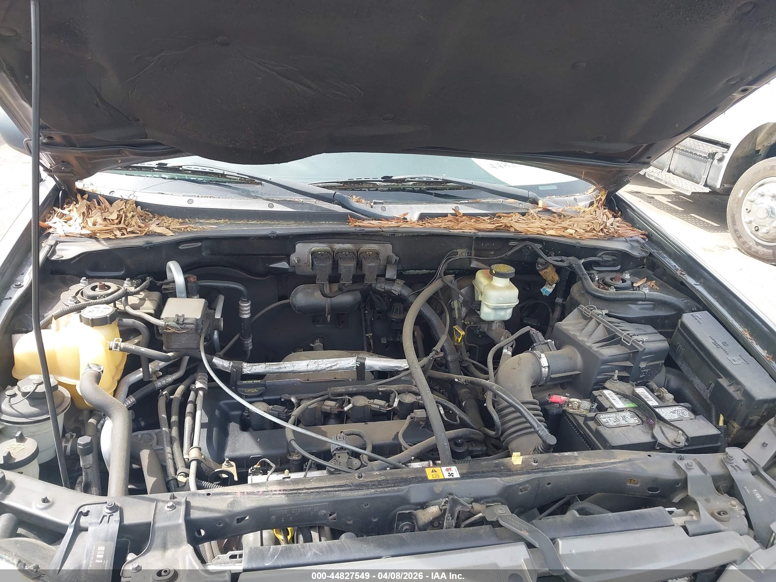 MAZDA TRIBUTE image 10