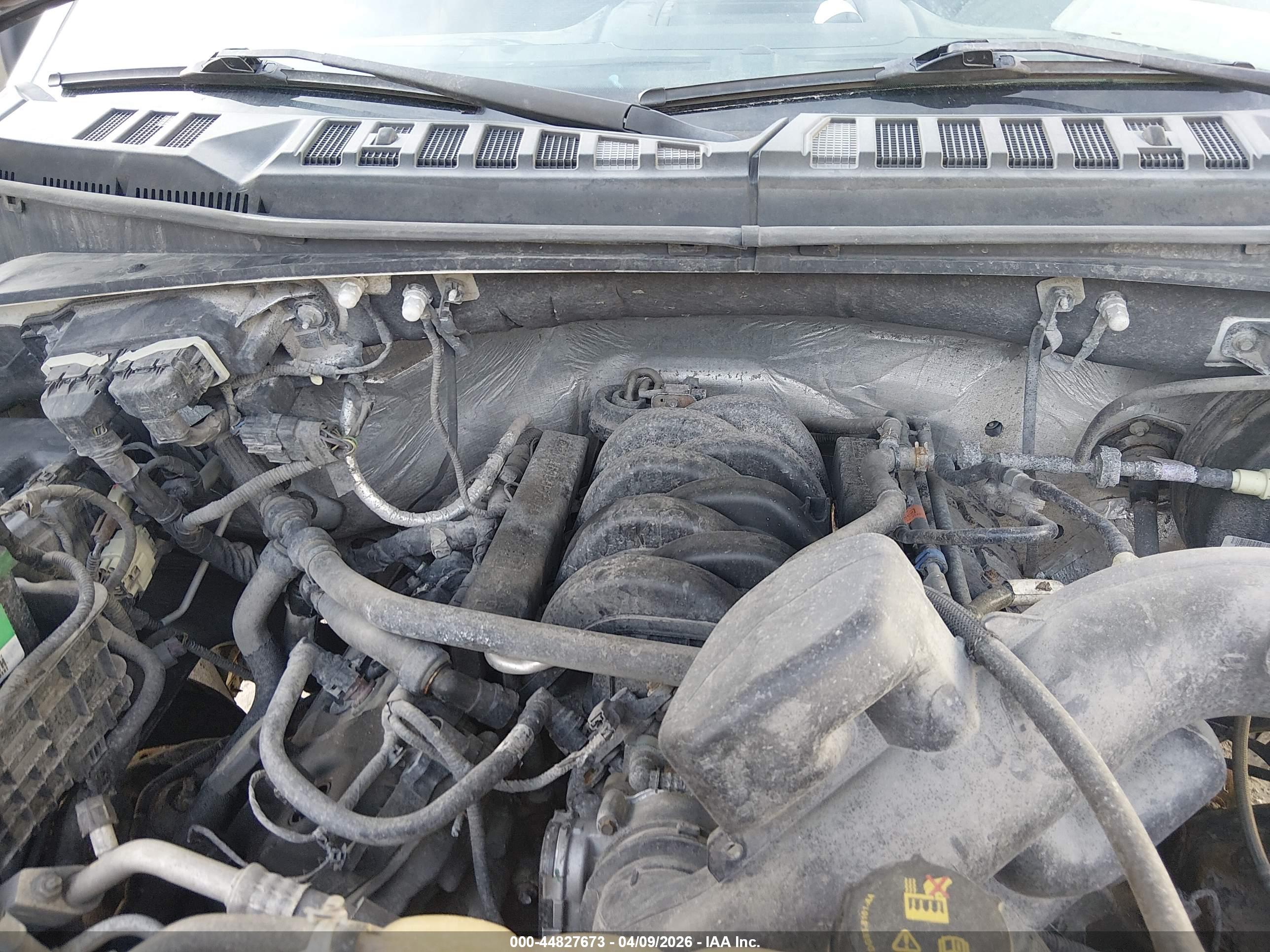 FORD F-150 image 10