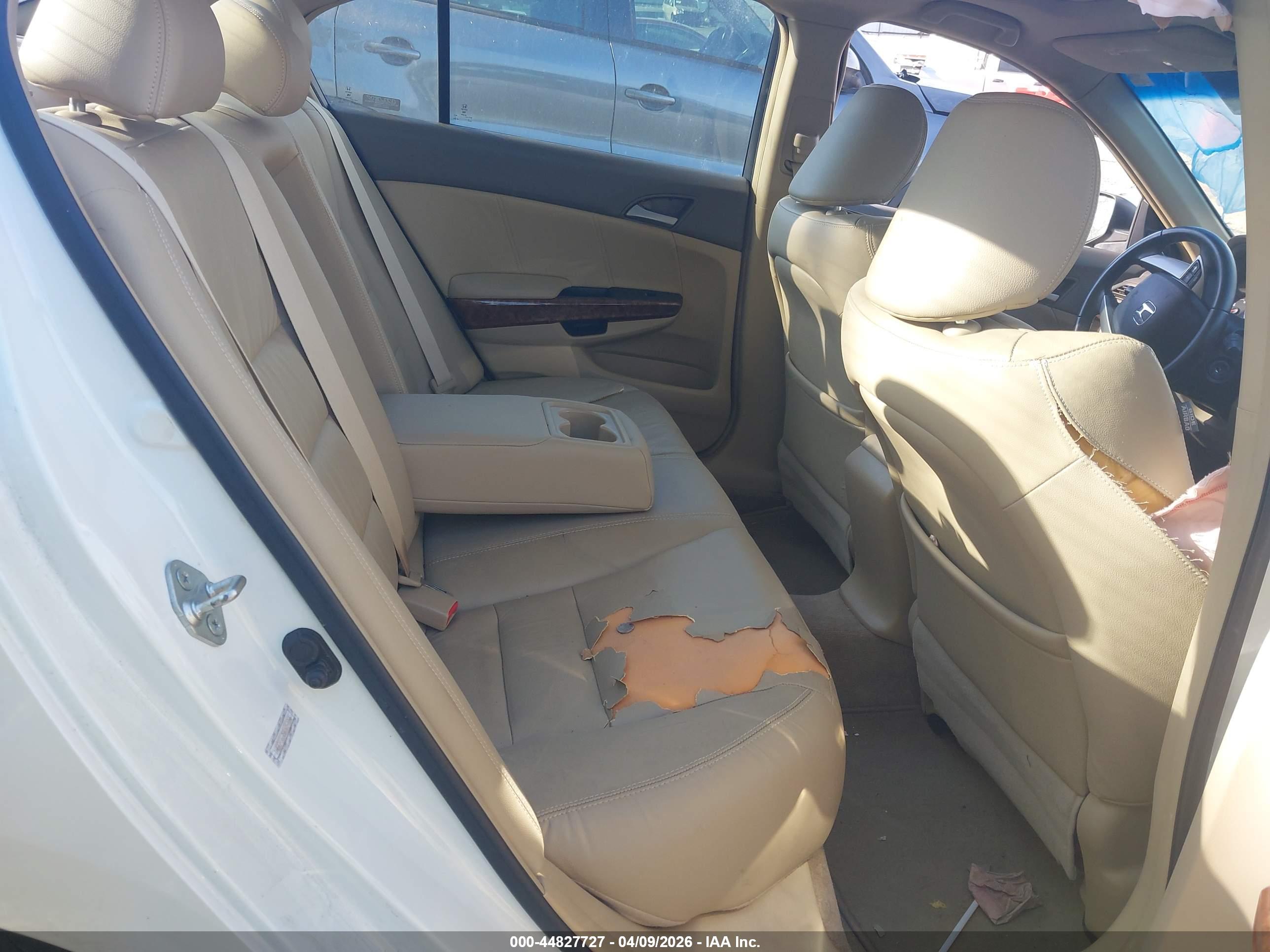 HONDA ACCORD image 8