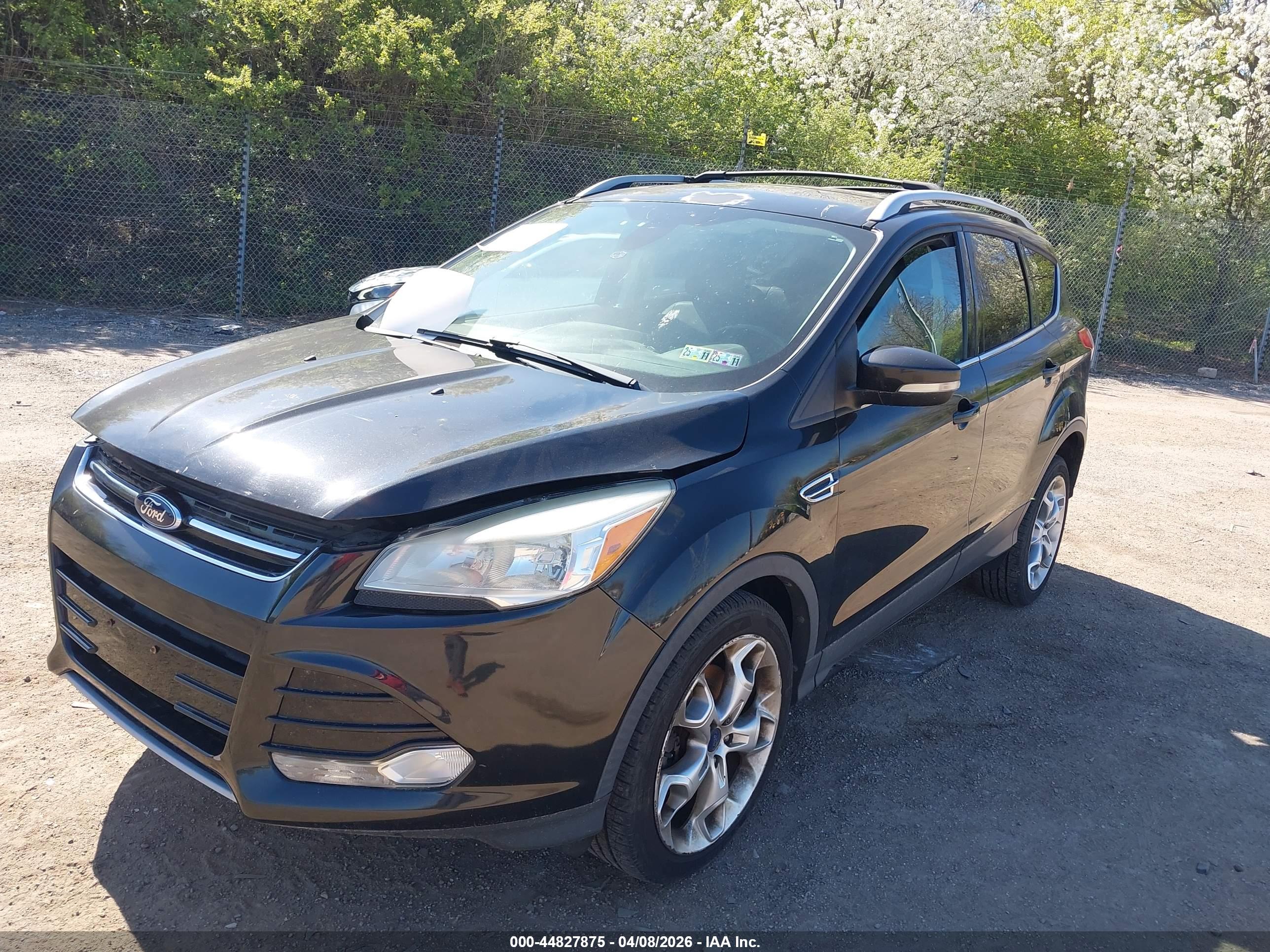 FORD ESCAPE image 2