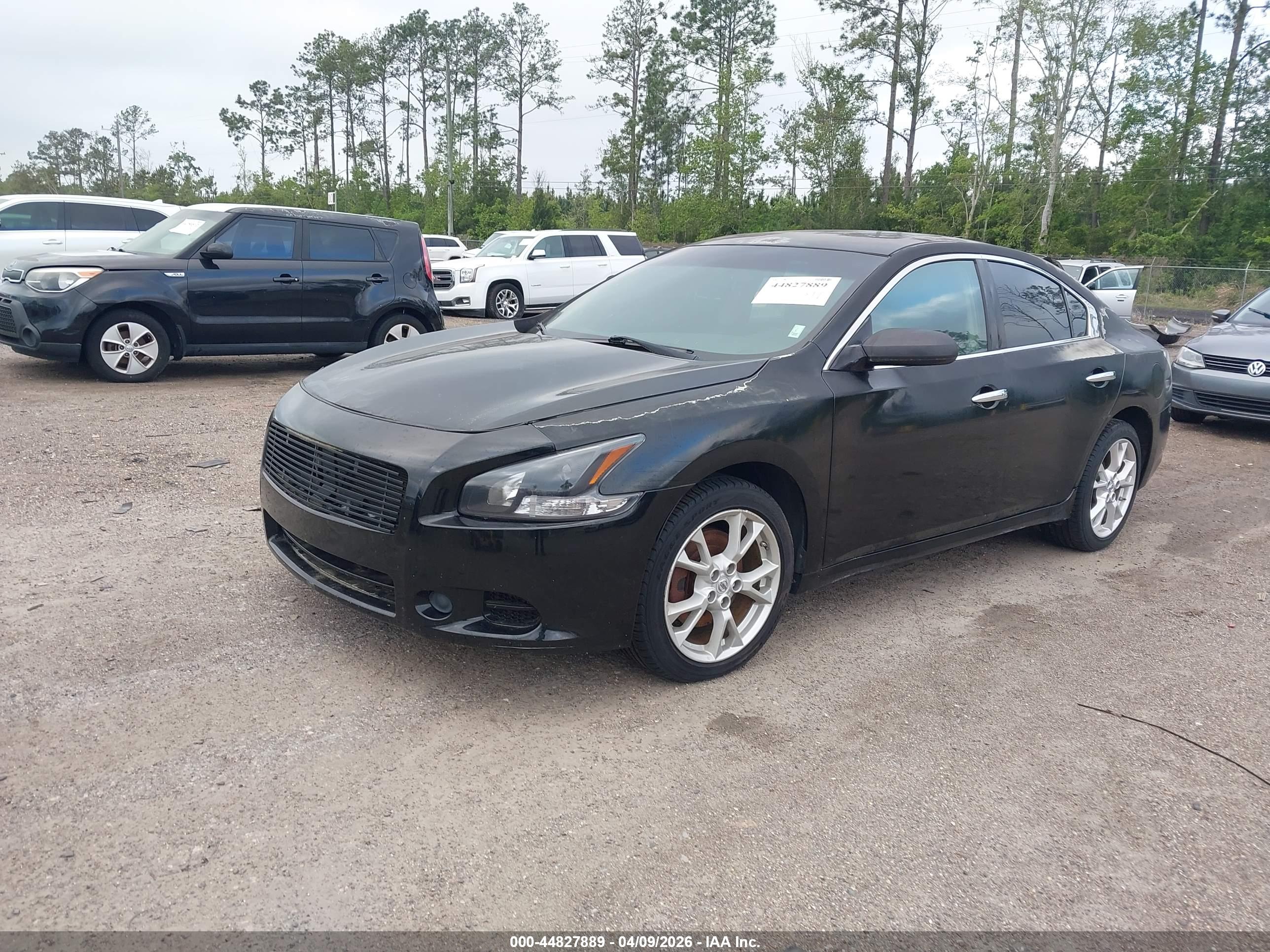 NISSAN MAXIMA image 2