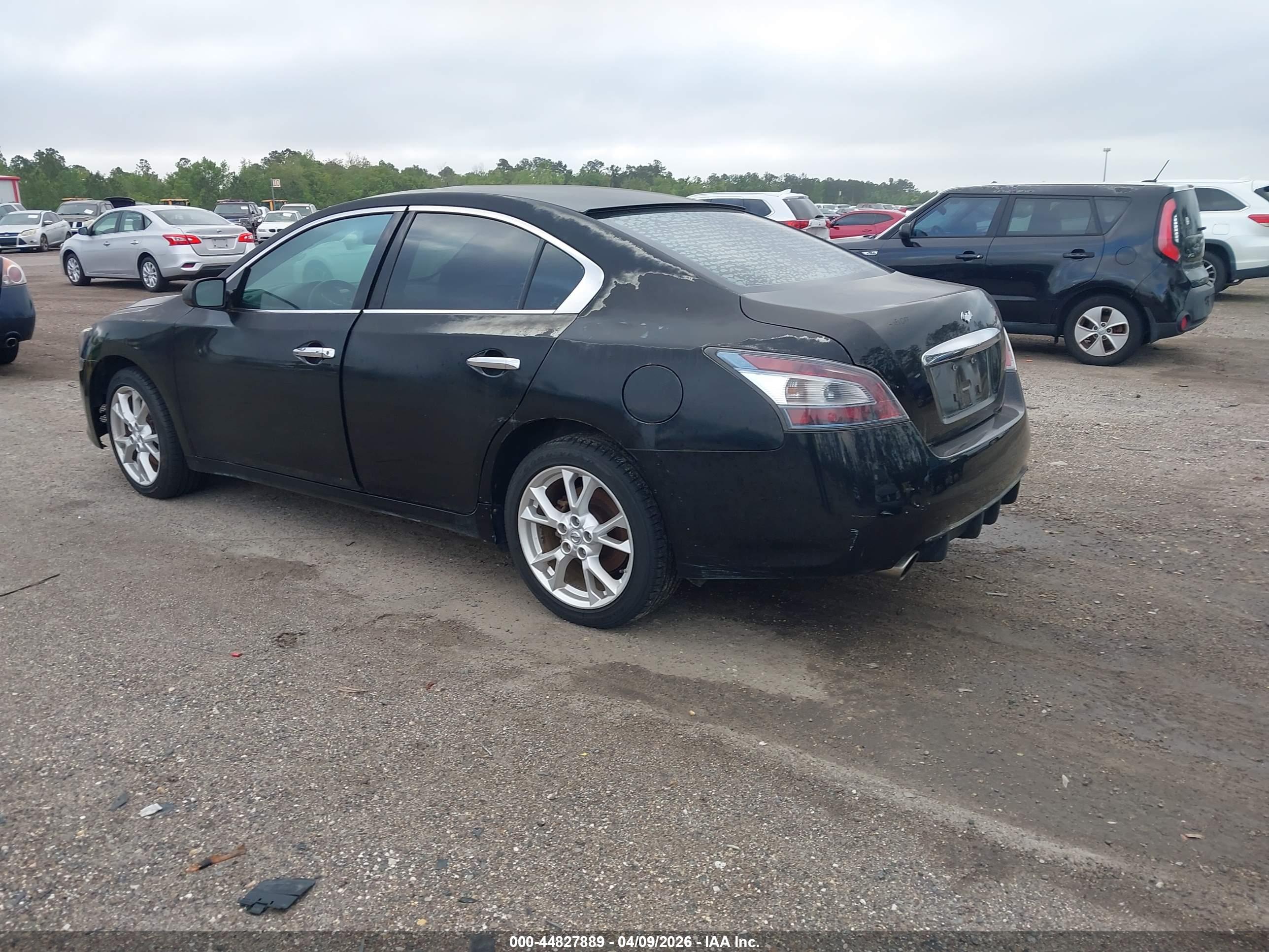 NISSAN MAXIMA image 3