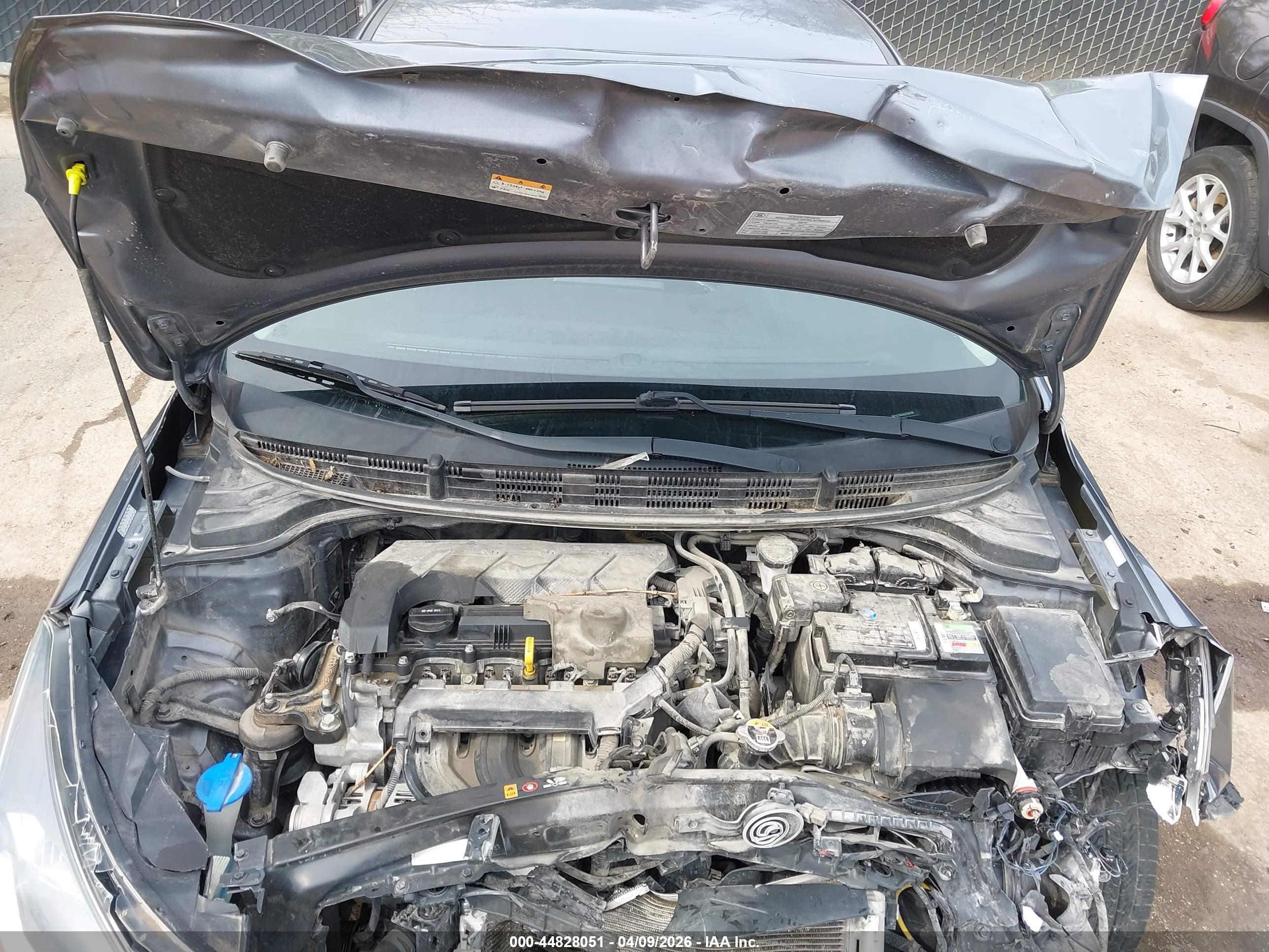 KIA RIO image 10