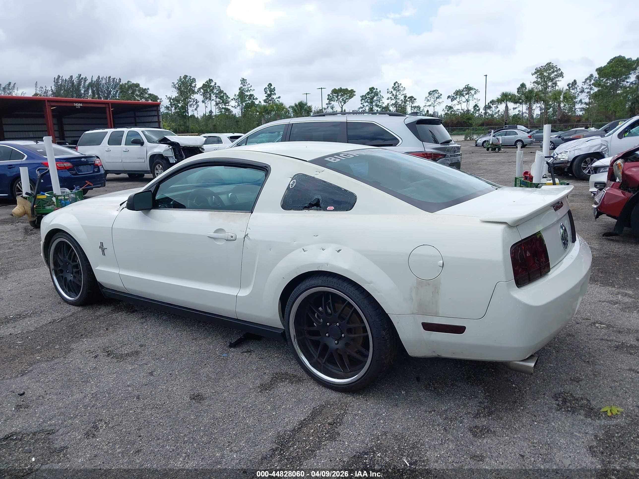 FORD MUSTANG image 6