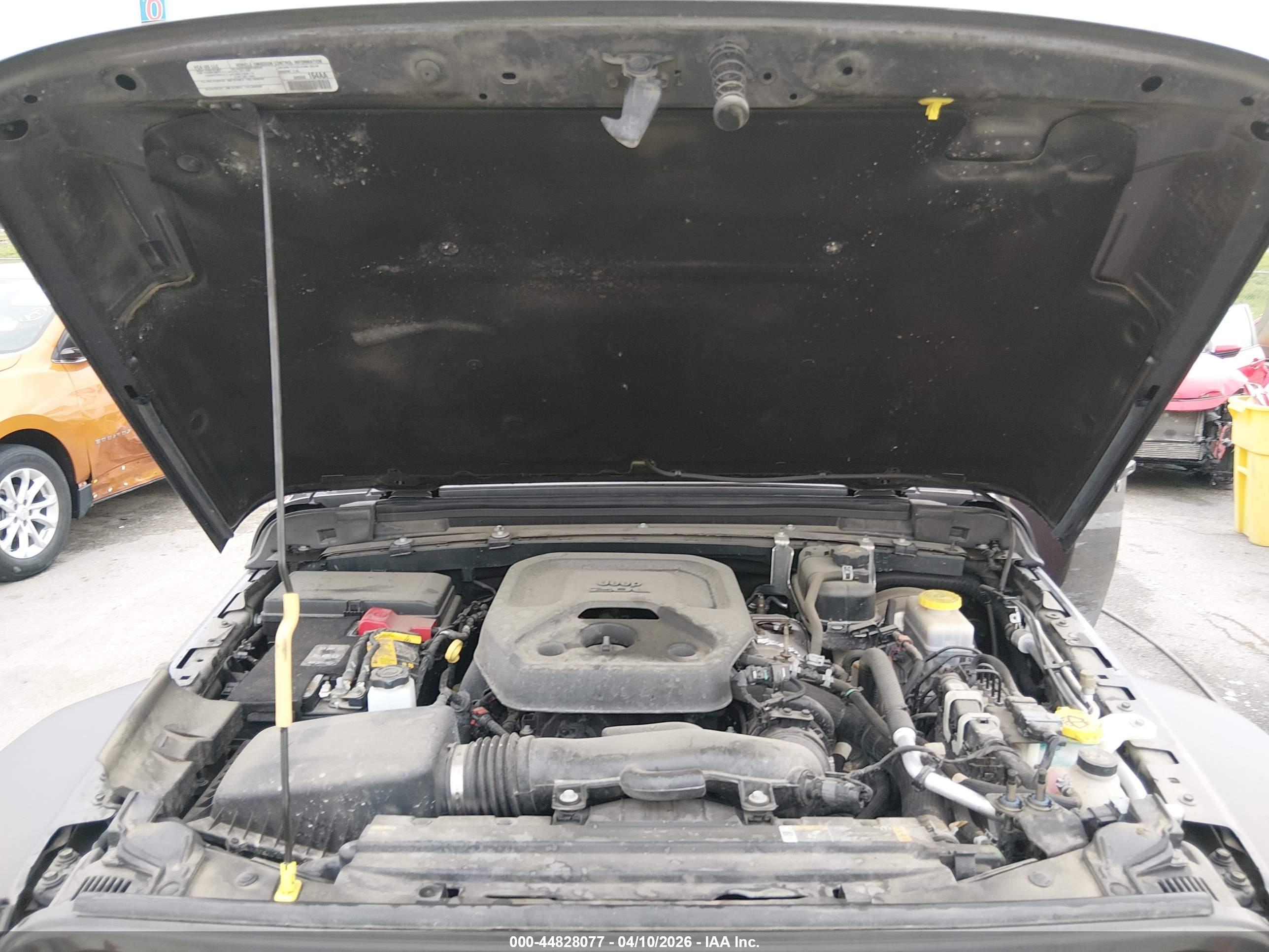 JEEP WRANGLER image 10
