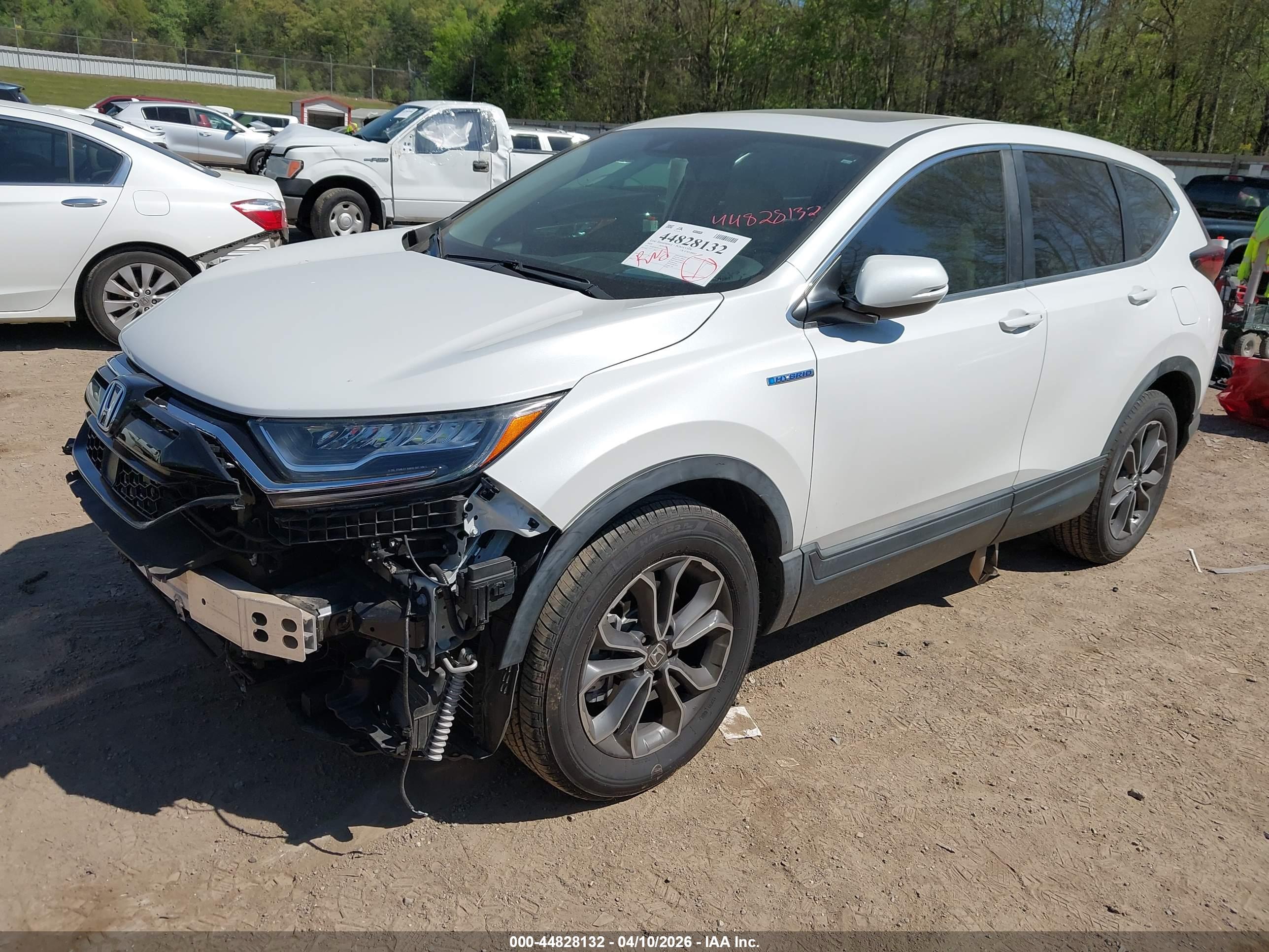 HONDA CR-V image 2