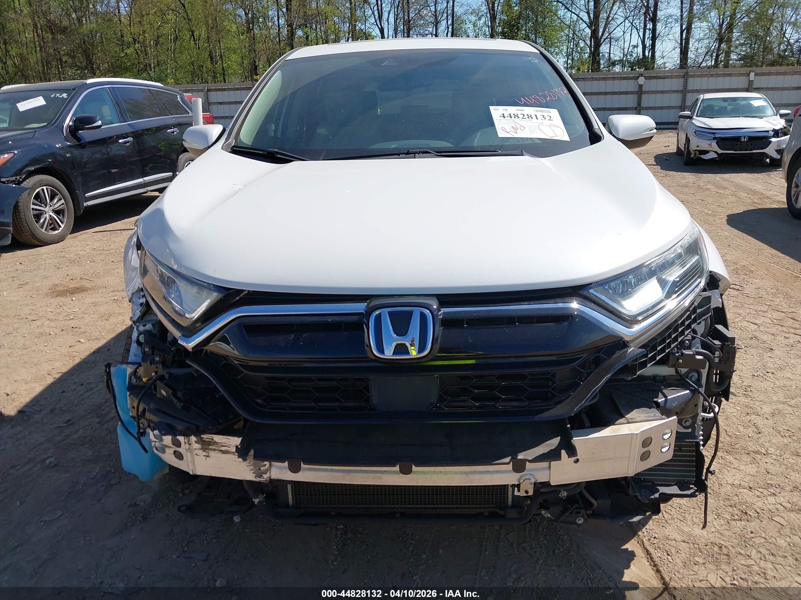 HONDA CR-V image 6