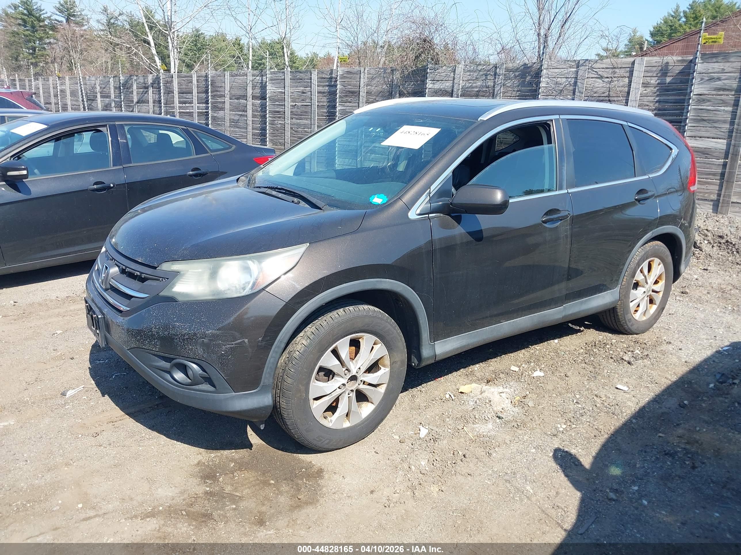 HONDA CR-V image 2