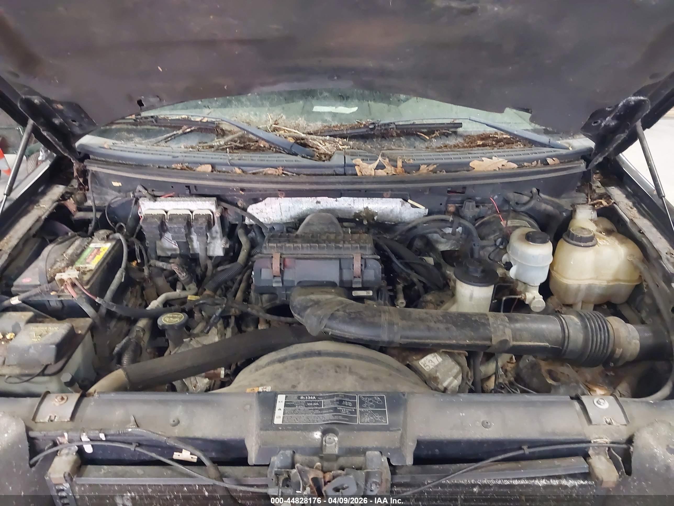 FORD F-150 image 10
