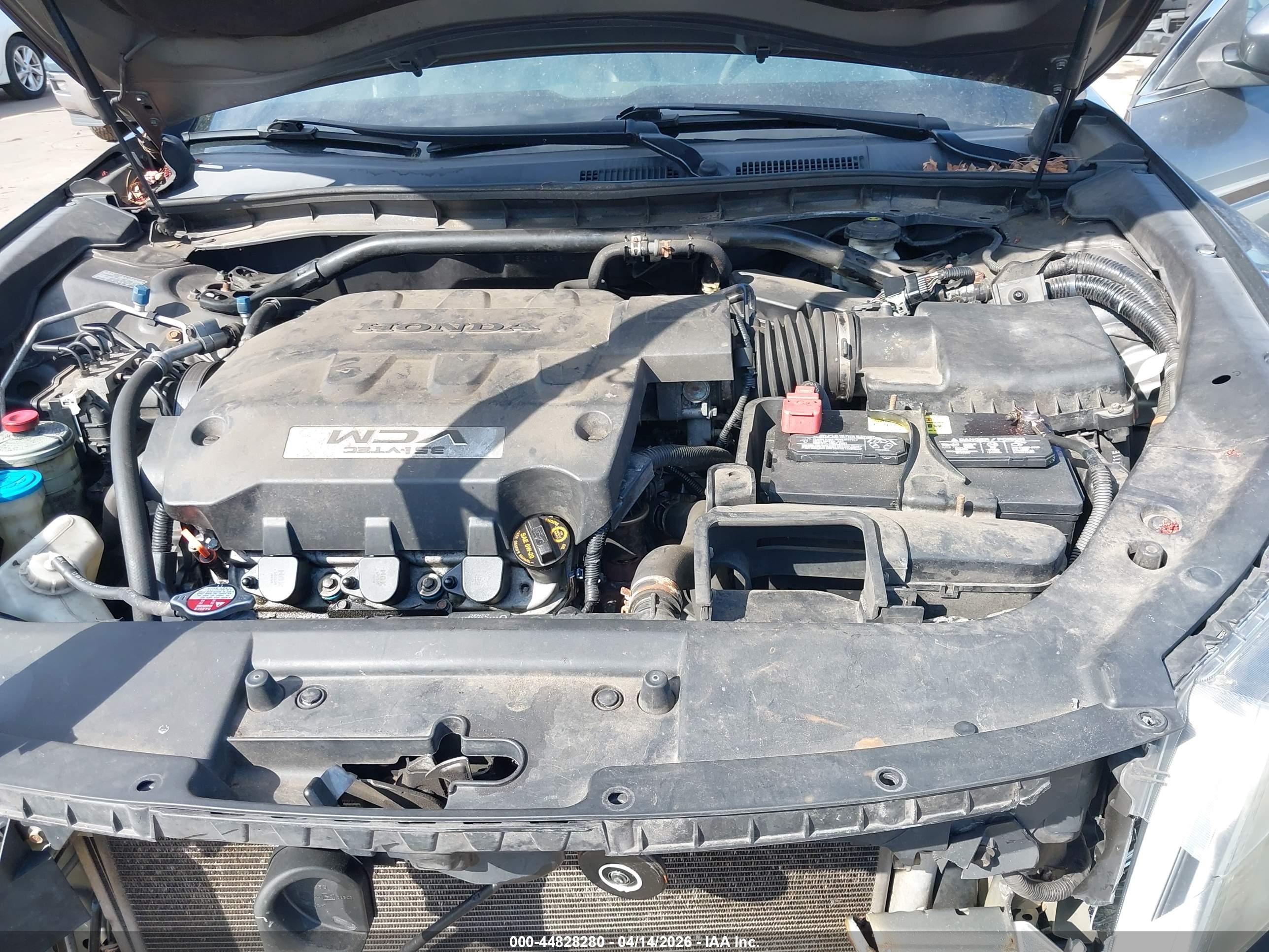 HONDA ACCORD image 10