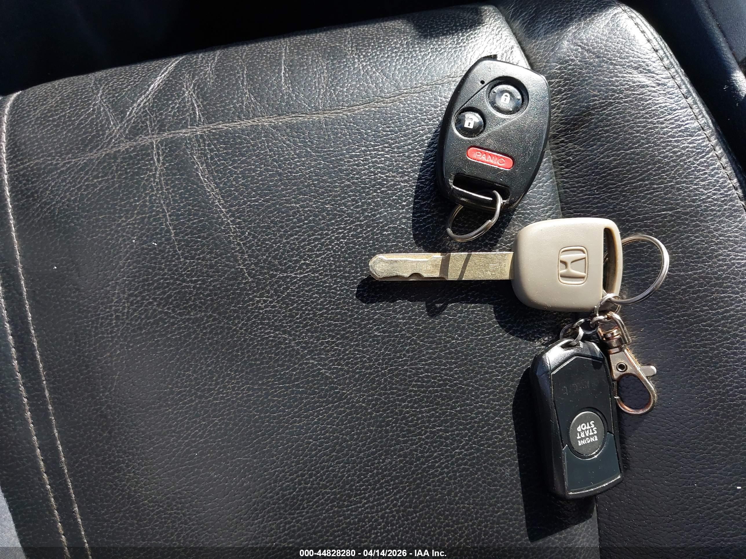 HONDA ACCORD image 11