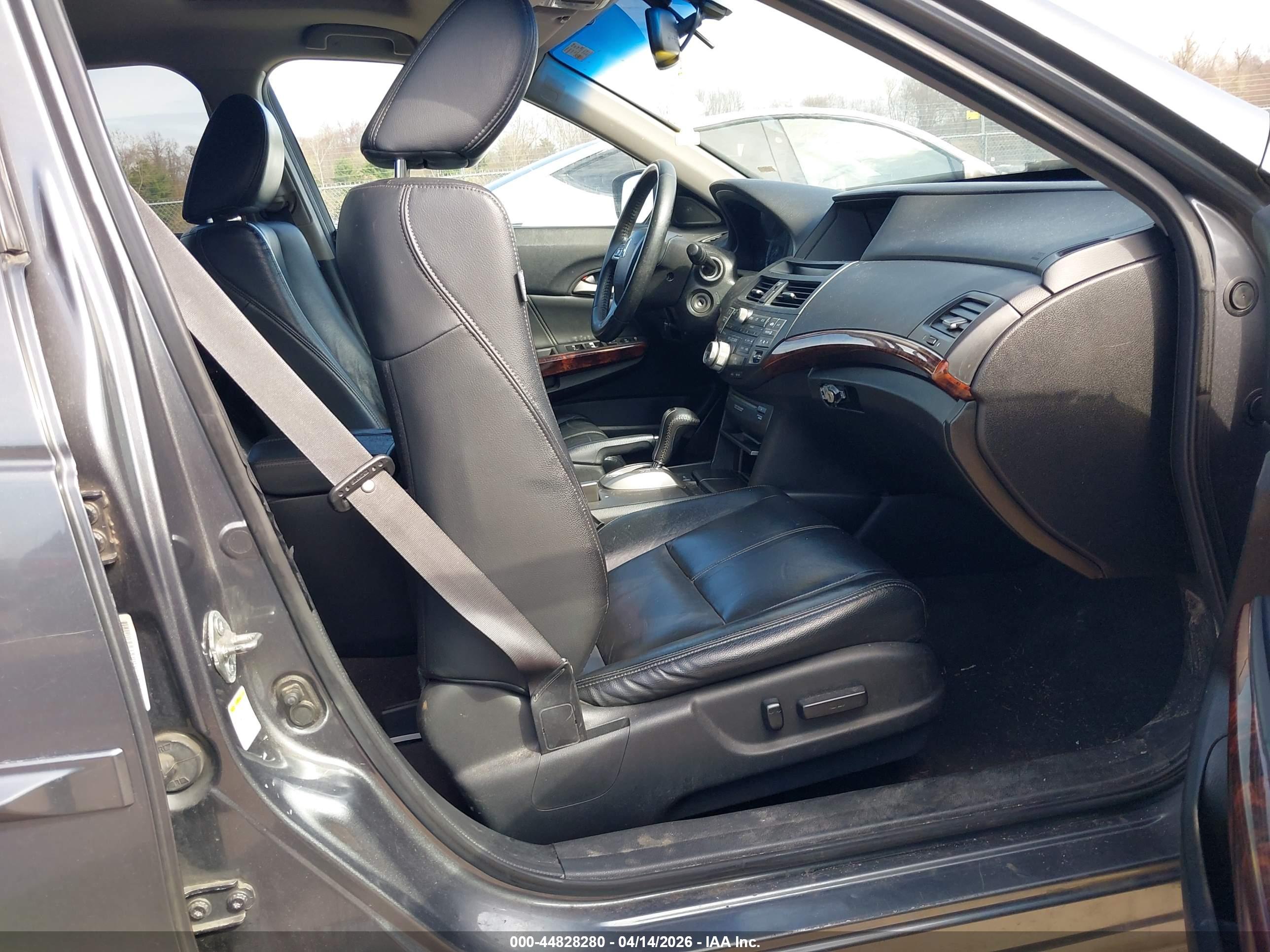 HONDA ACCORD image 5