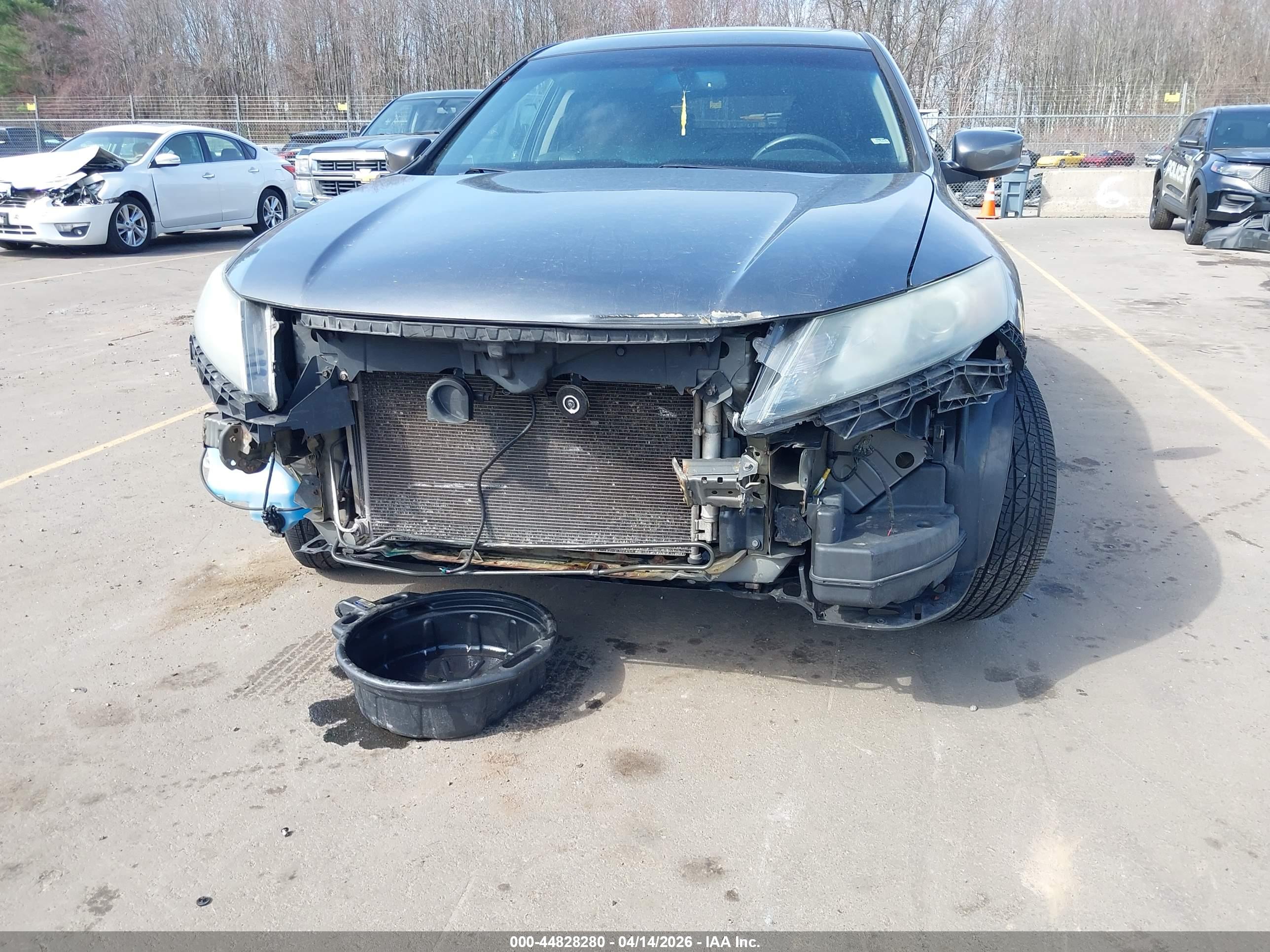 HONDA ACCORD image 6