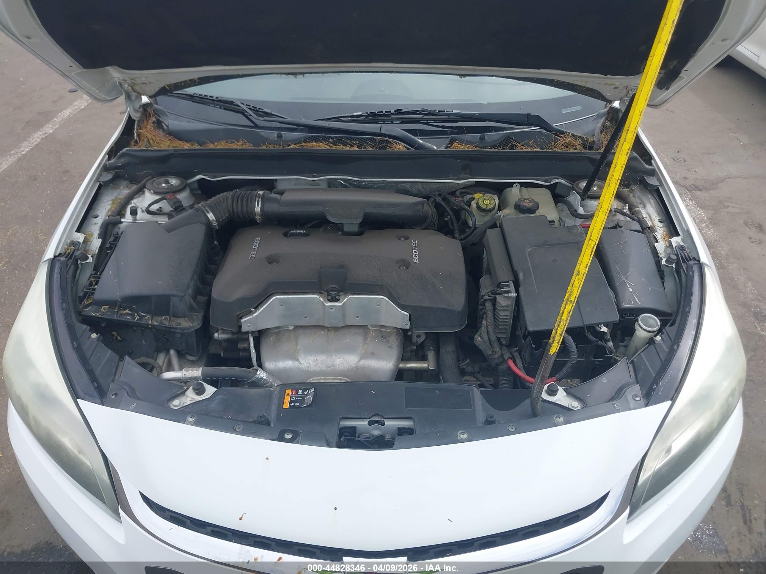 CHEVROLET MALIBU image 10