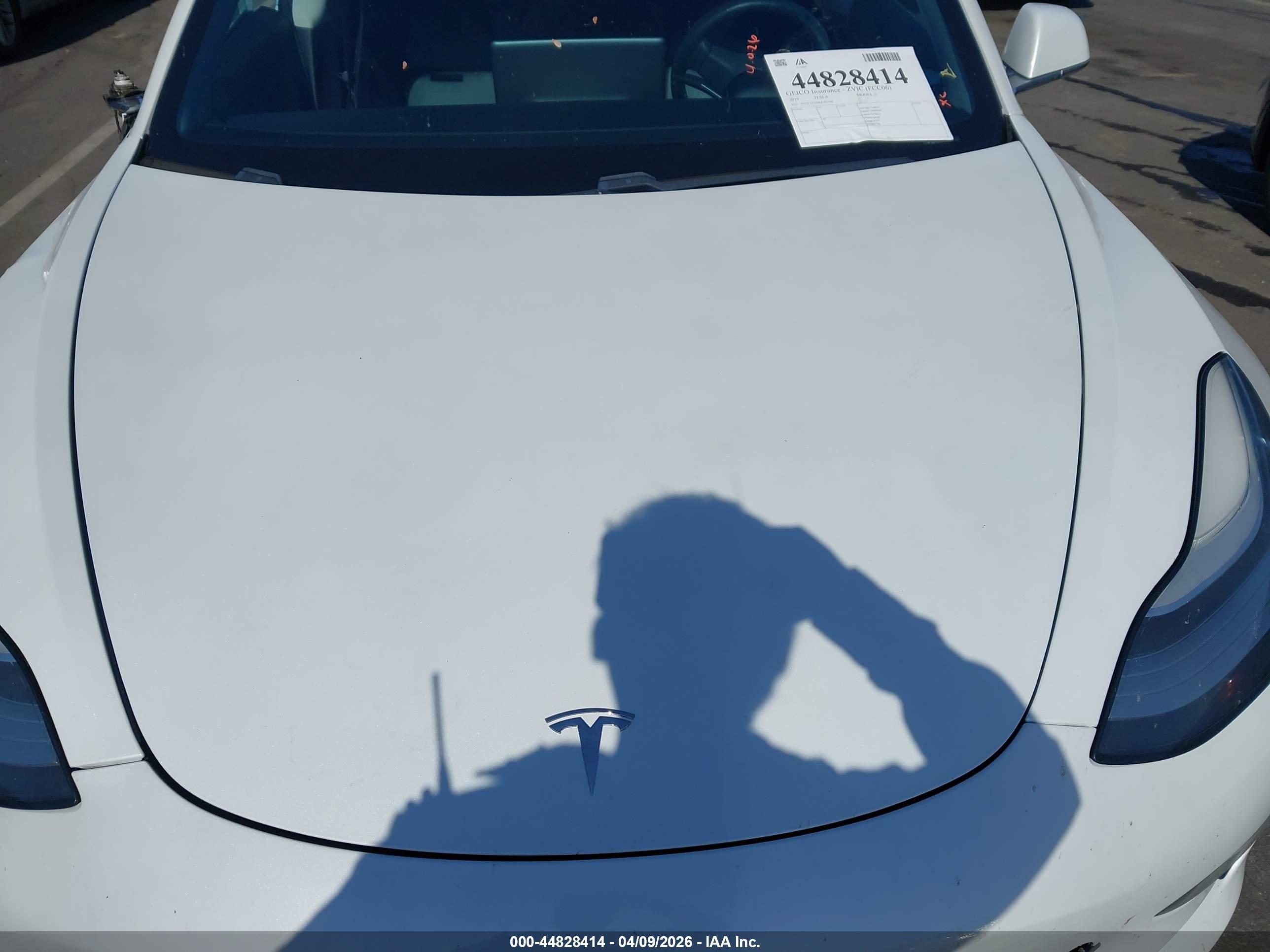 TESLA MODEL image 10