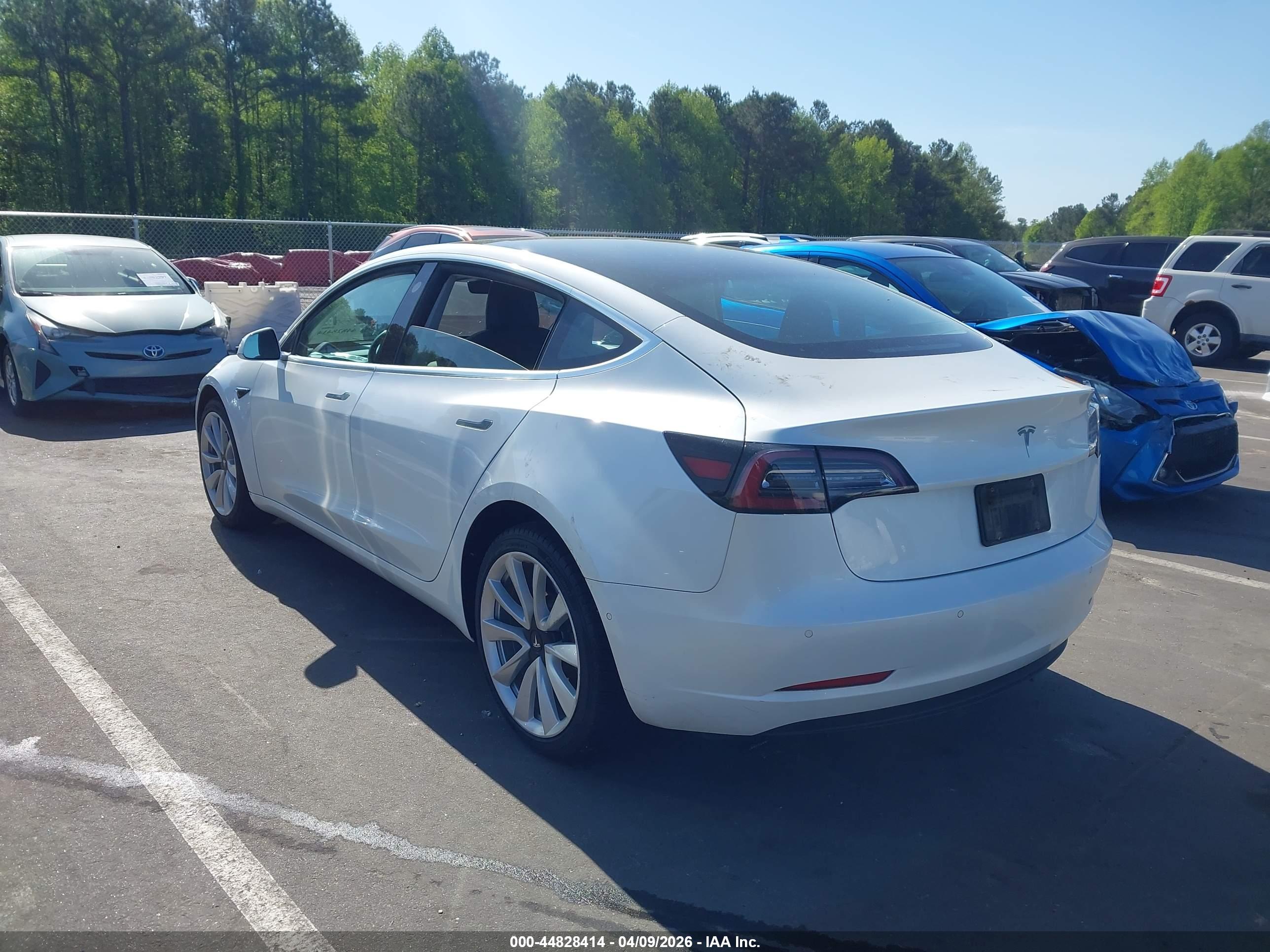 TESLA MODEL image 3