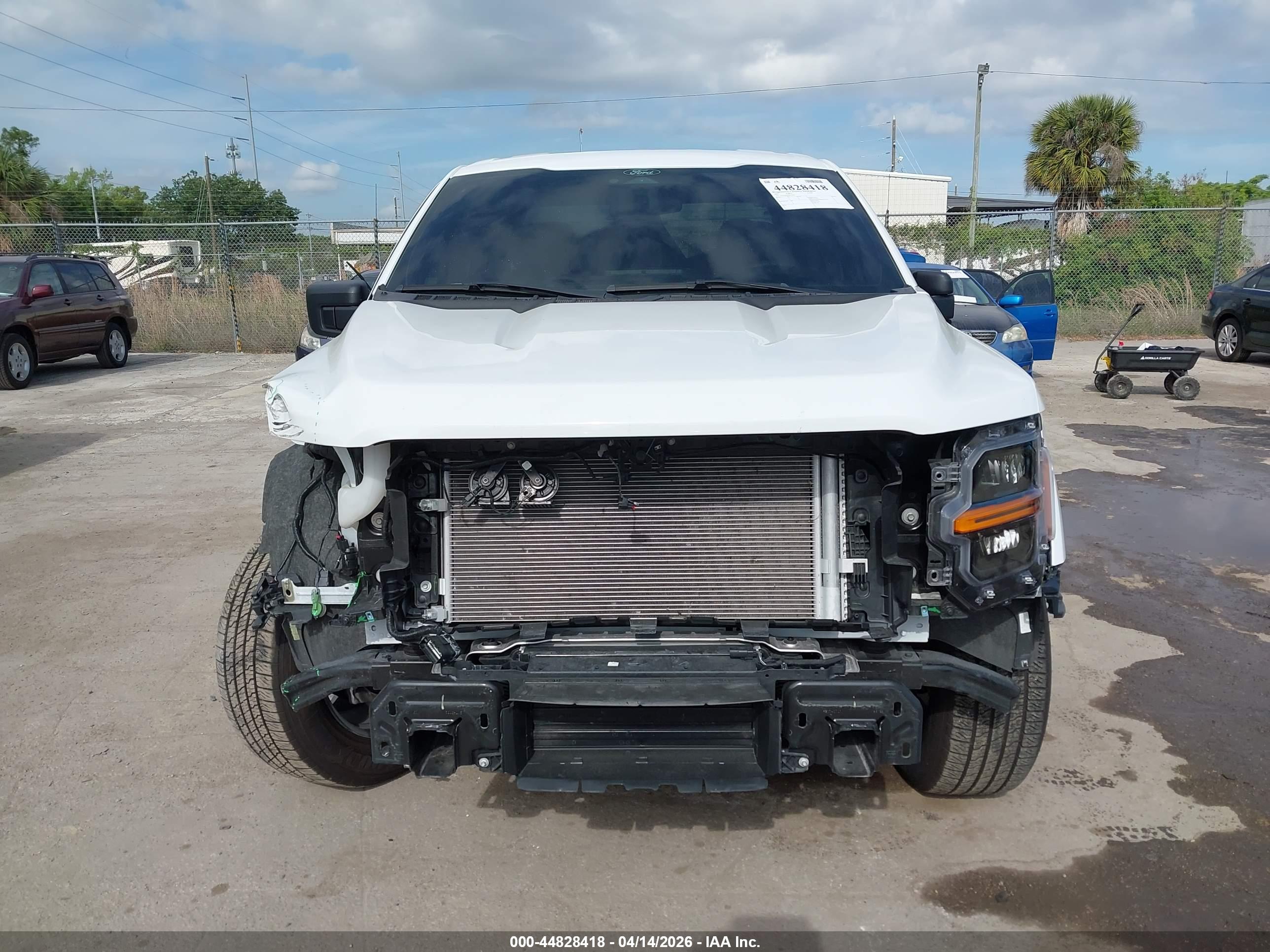 FORD F-150 image 6