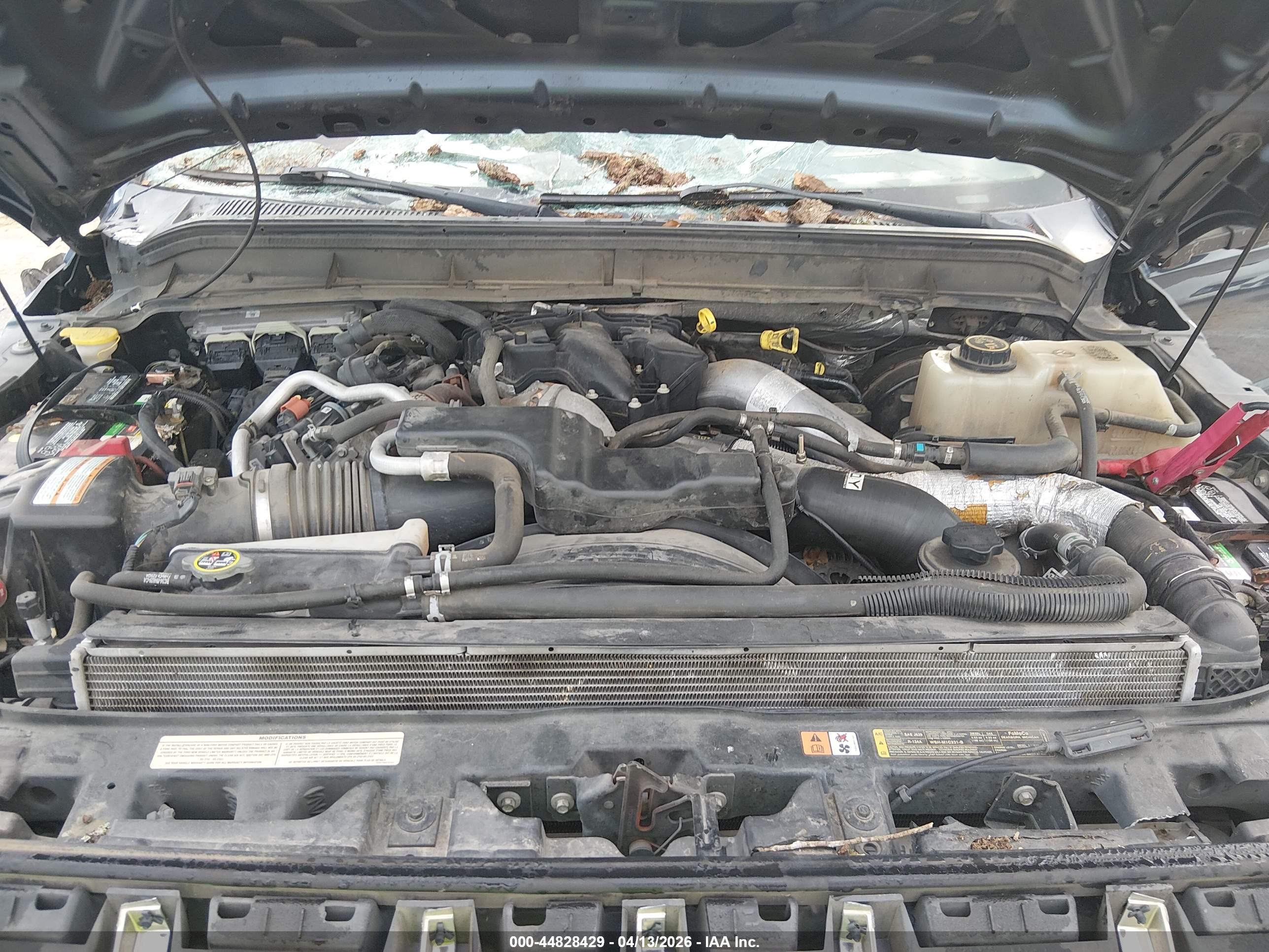 FORD F-250 image 10
