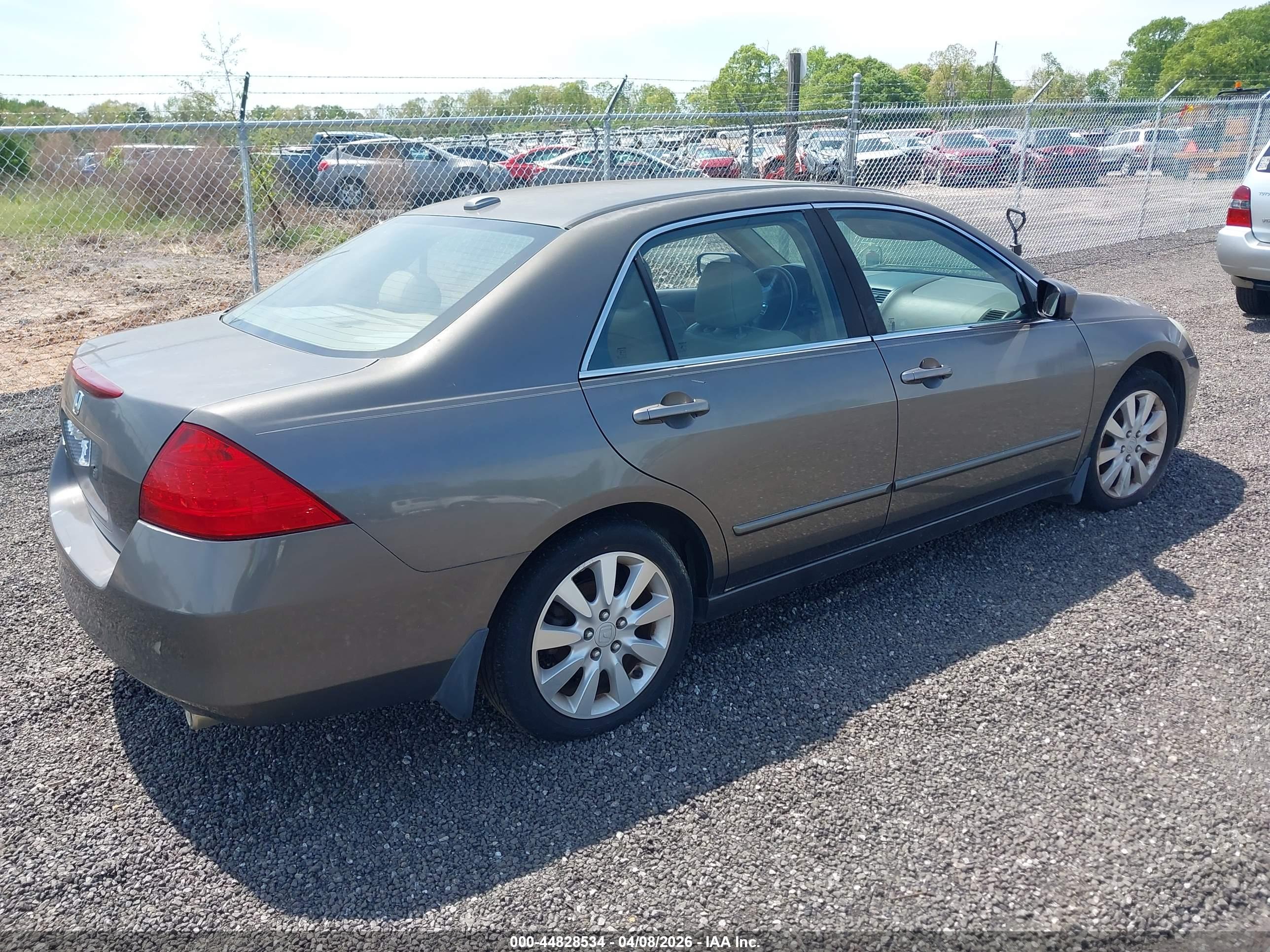 HONDA ACCORD image 4