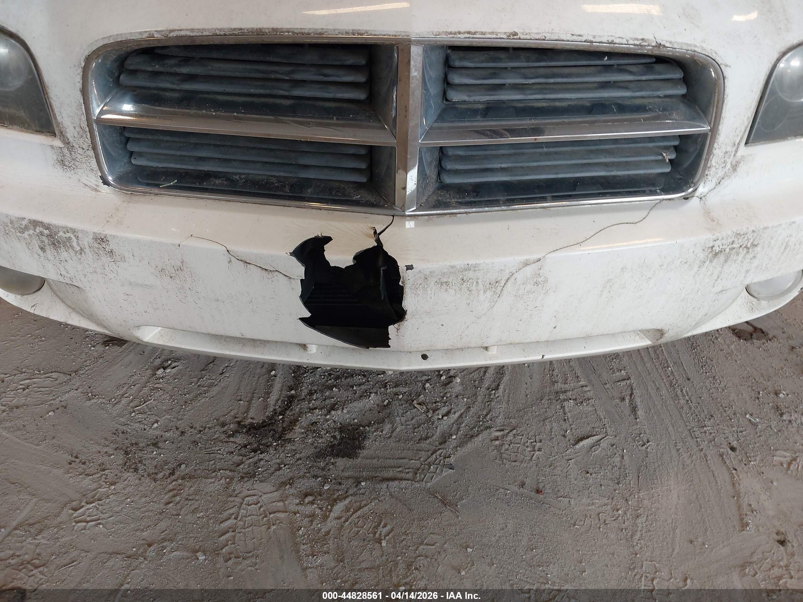 DODGE CHARGER image 6