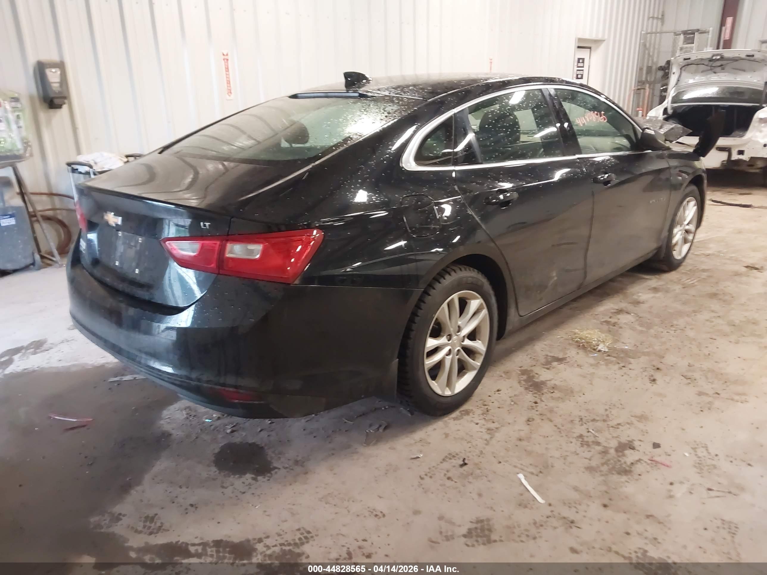 CHEVROLET MALIBU image 4