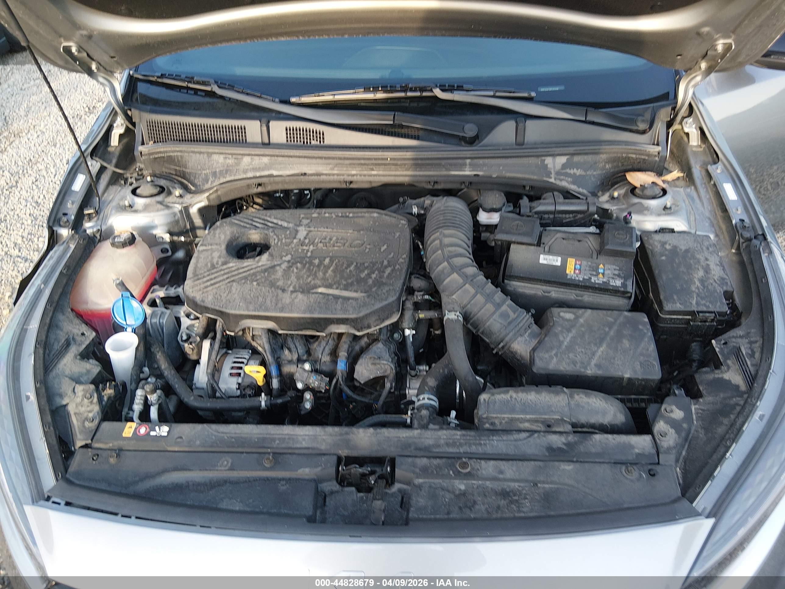KIA FORTE image 10