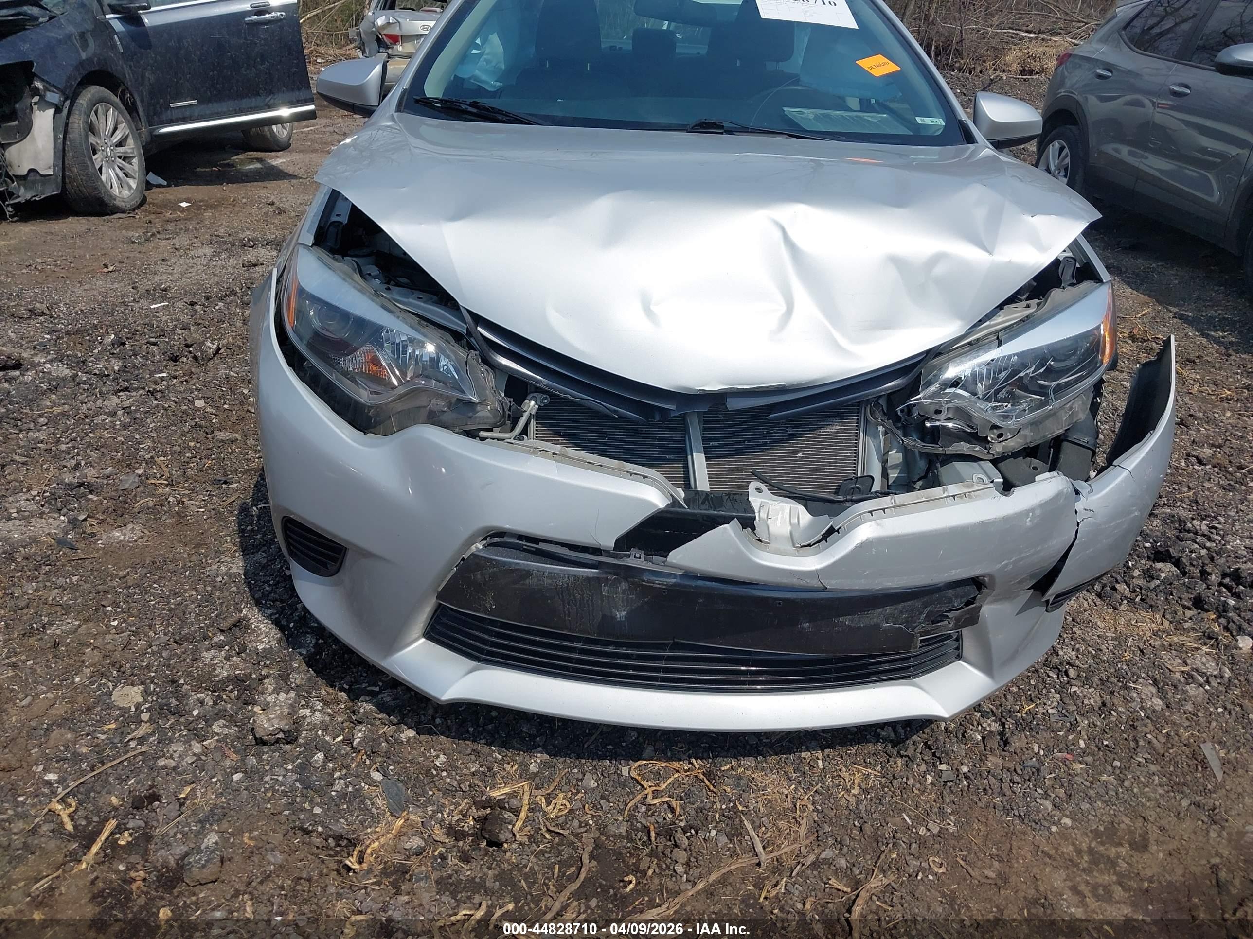 TOYOTA COROLLA image 6