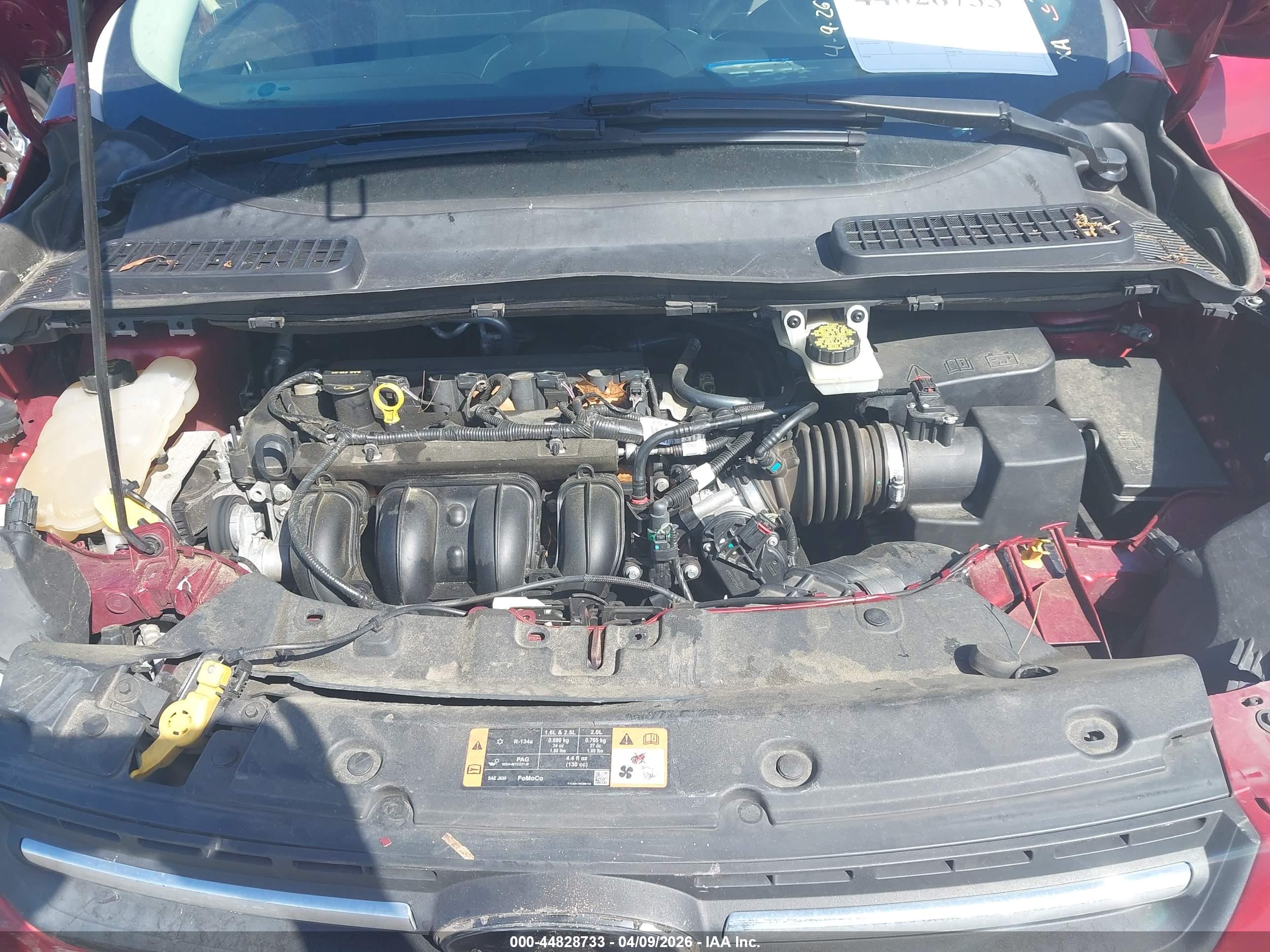 FORD ESCAPE image 10