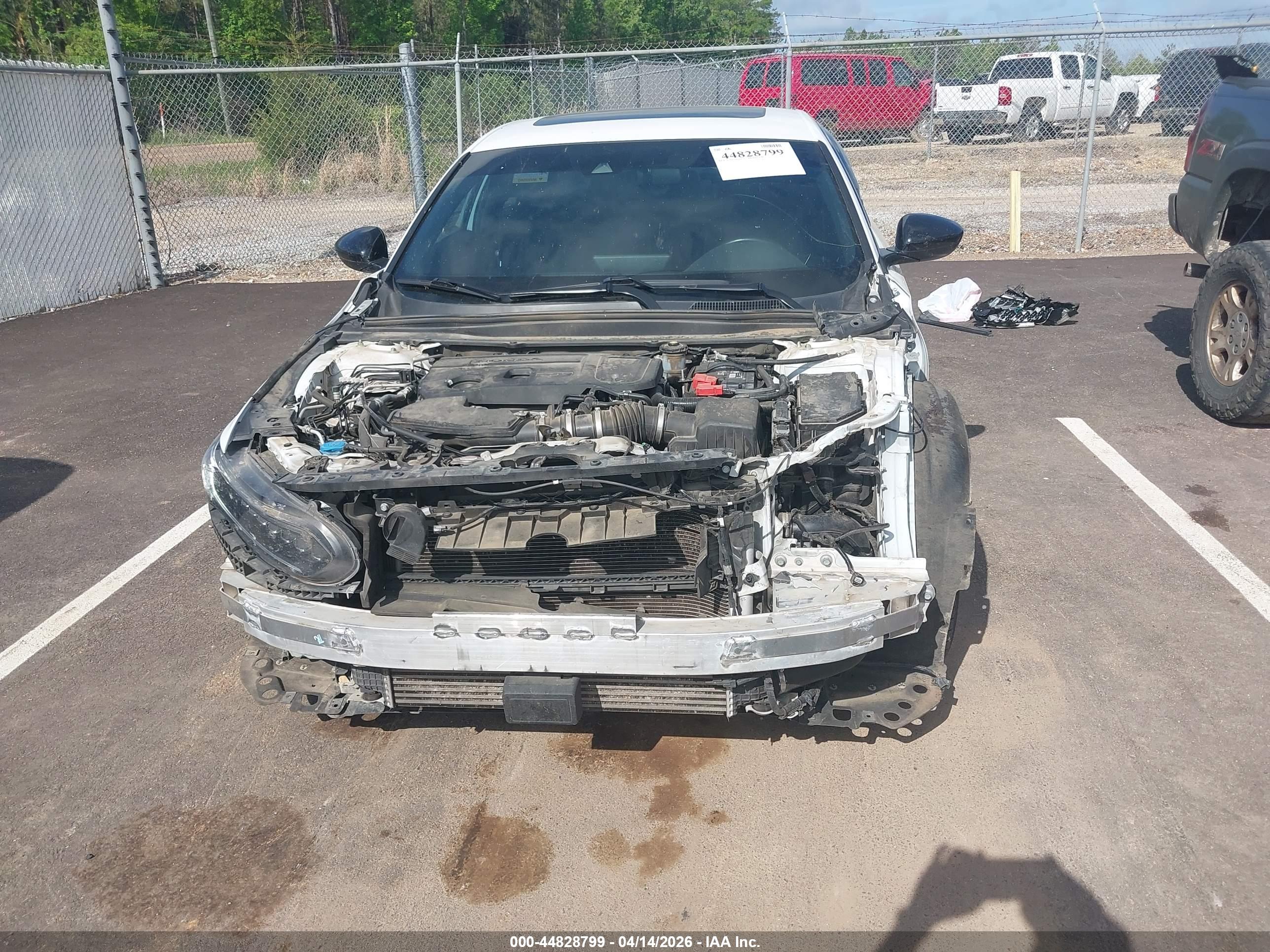 HONDA ACCORD image 6