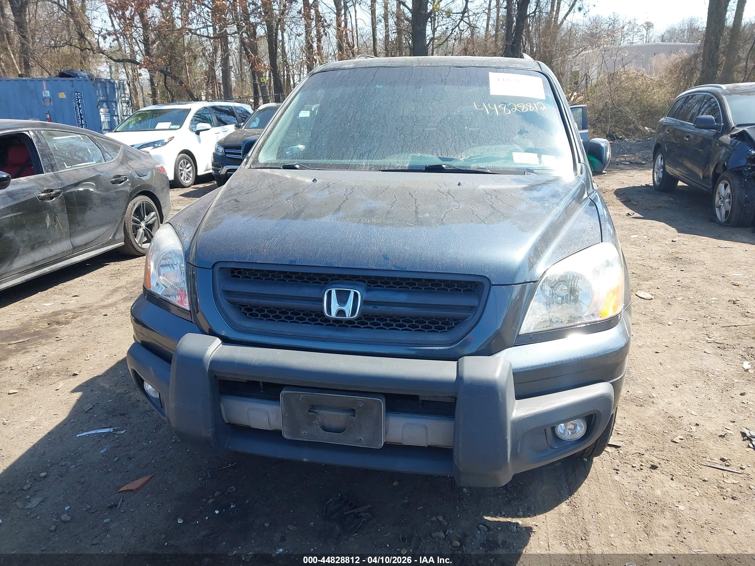 HONDA PILOT image 6