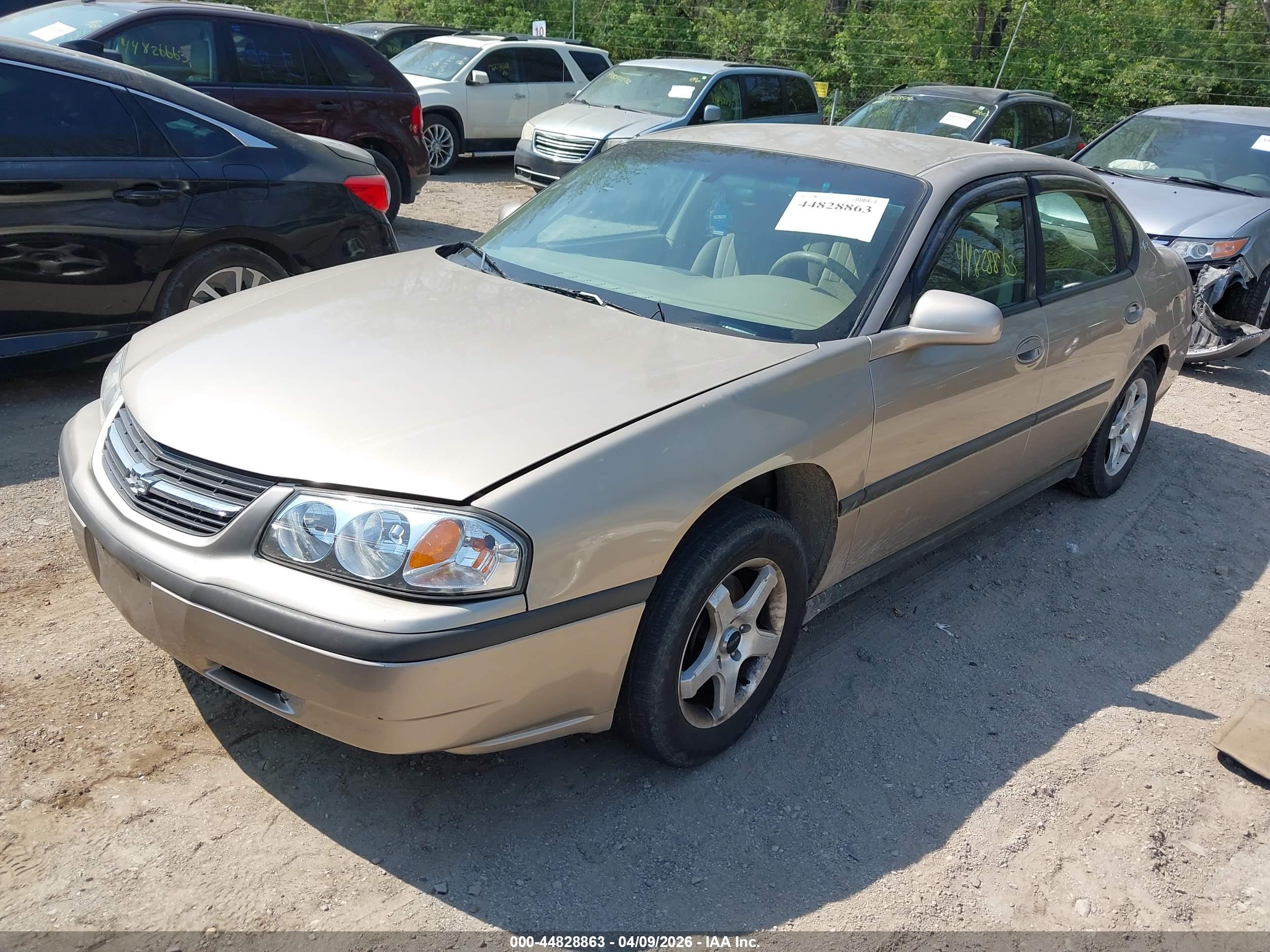 CHEVROLET IMPALA image 2