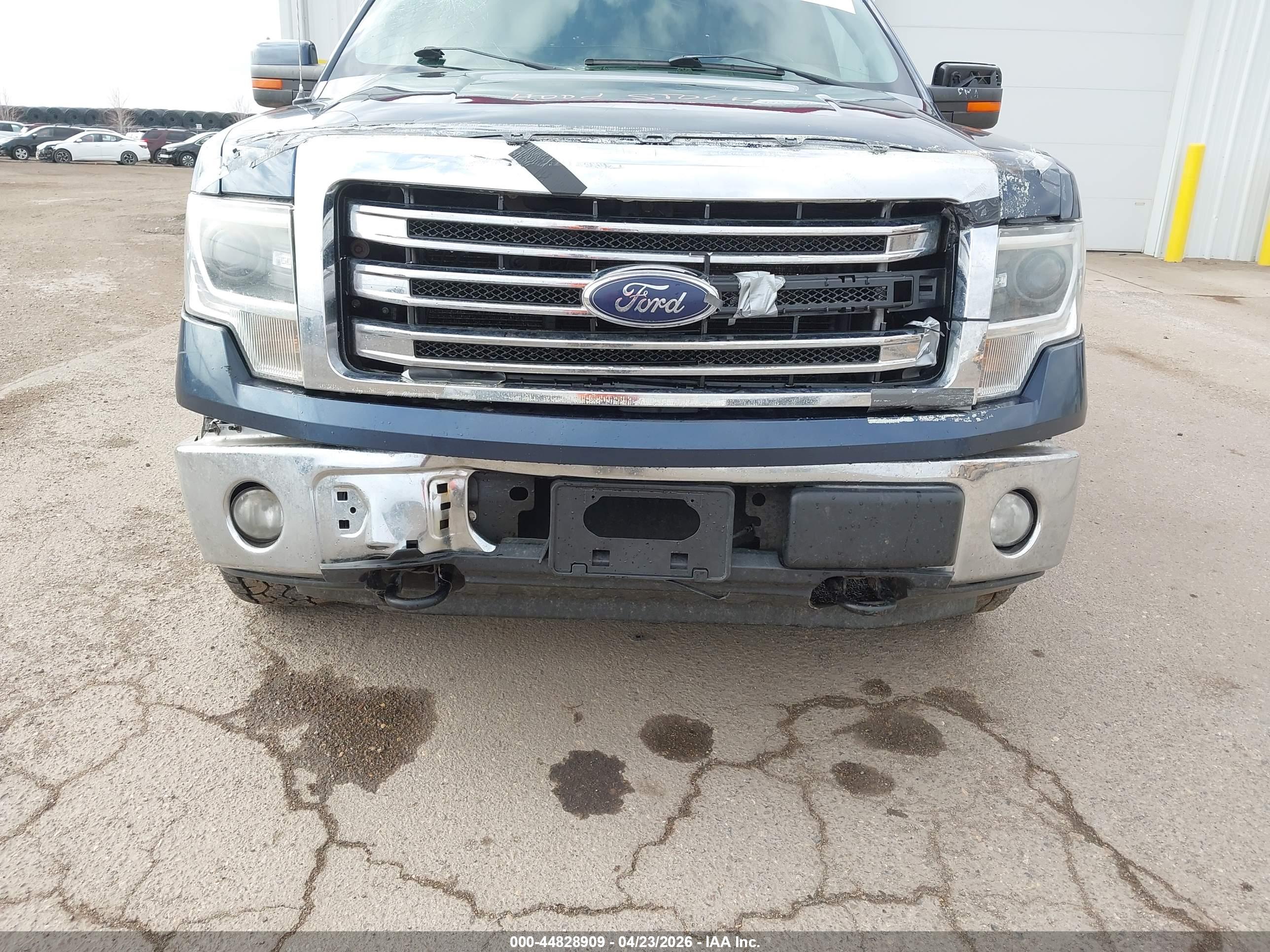 FORD F-150 image 6