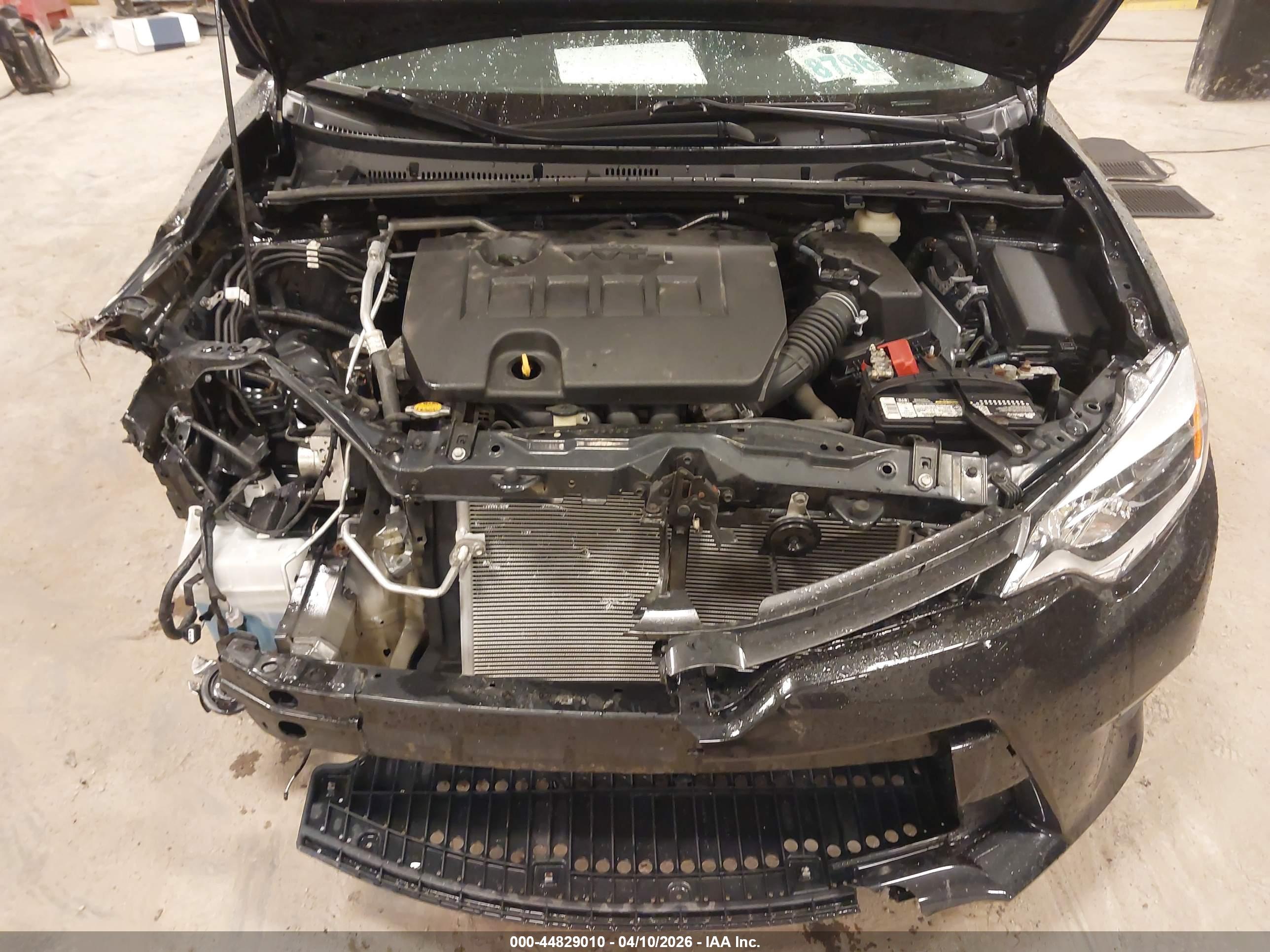 TOYOTA COROLLA image 10